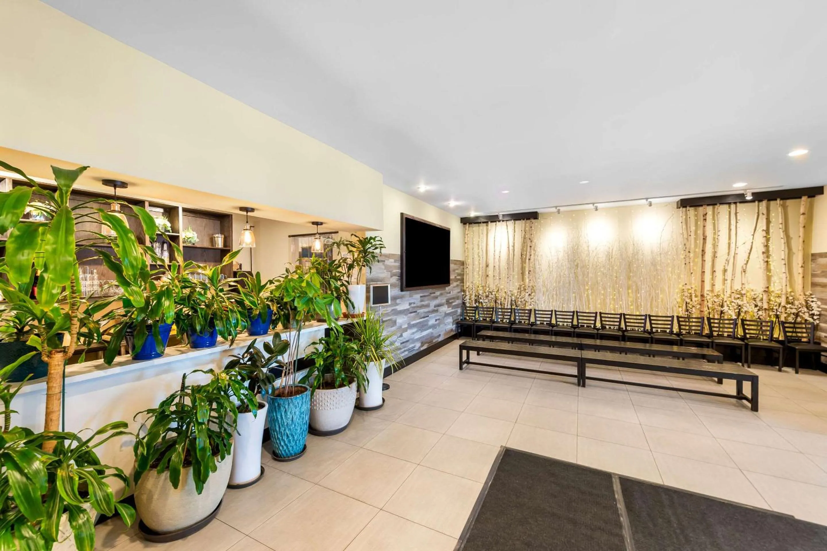 Lounge or bar in Rodeway Inn Capri