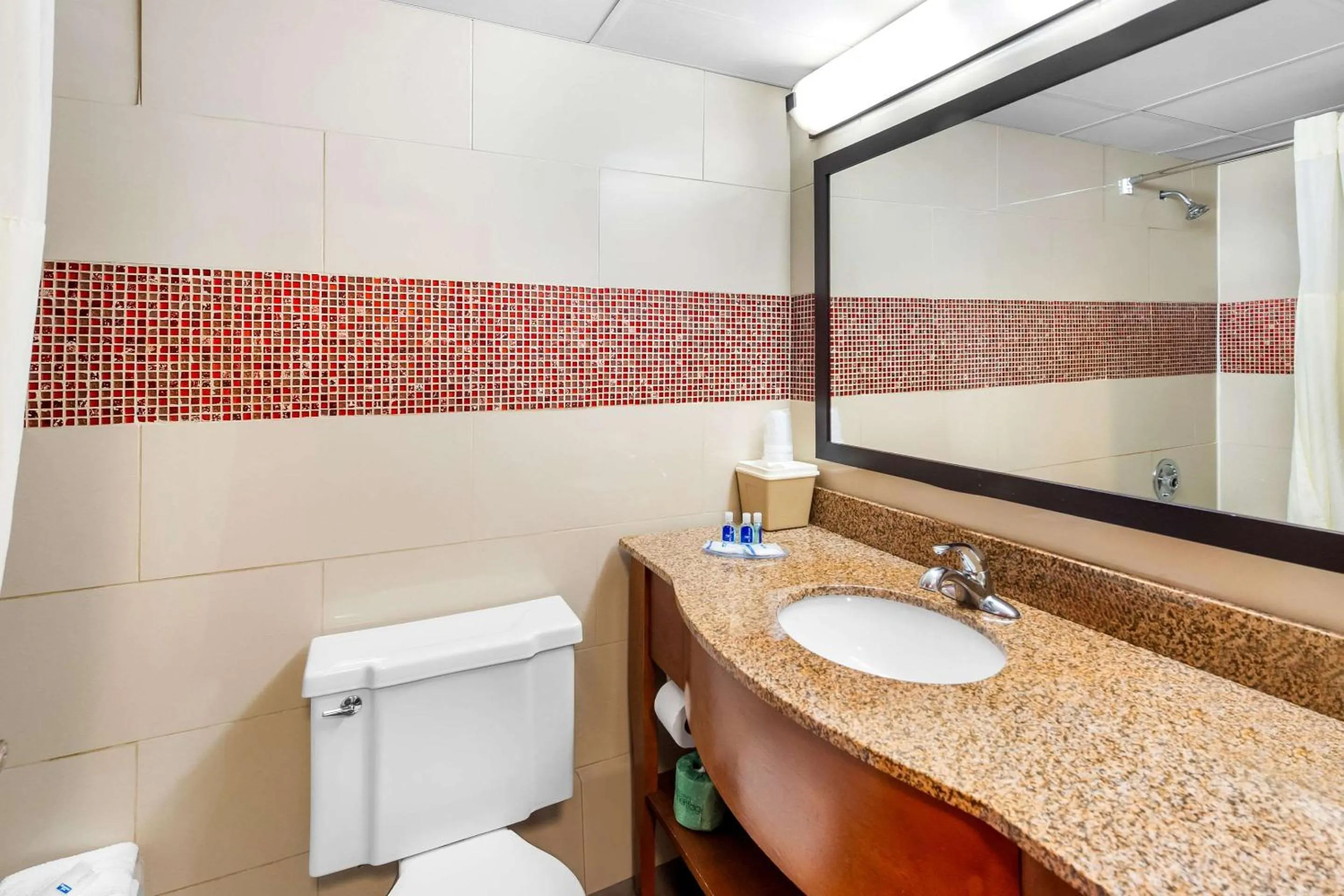 Bedroom in Rodeway Inn Capri