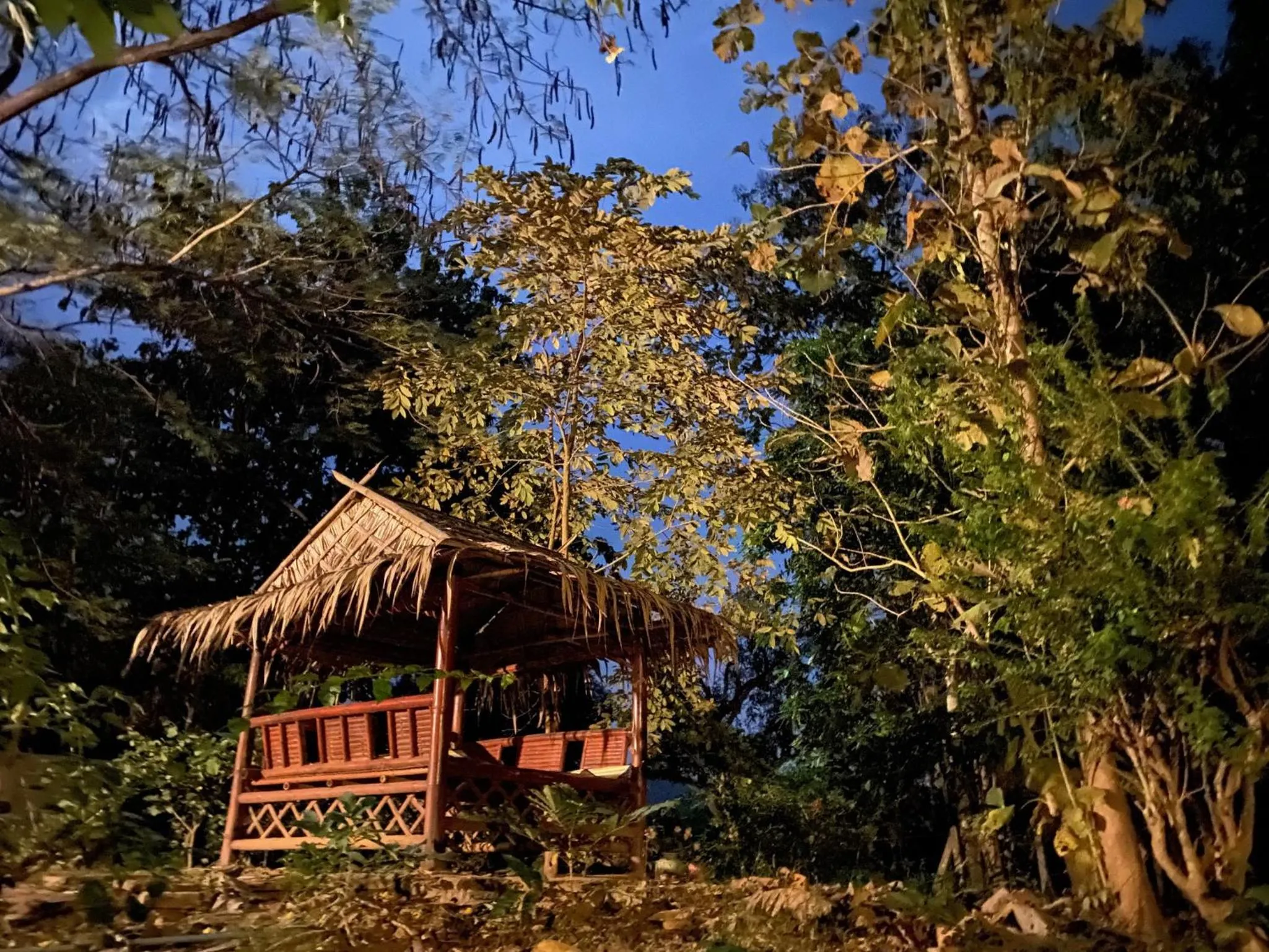 View (from property/room) in Saiyok River House