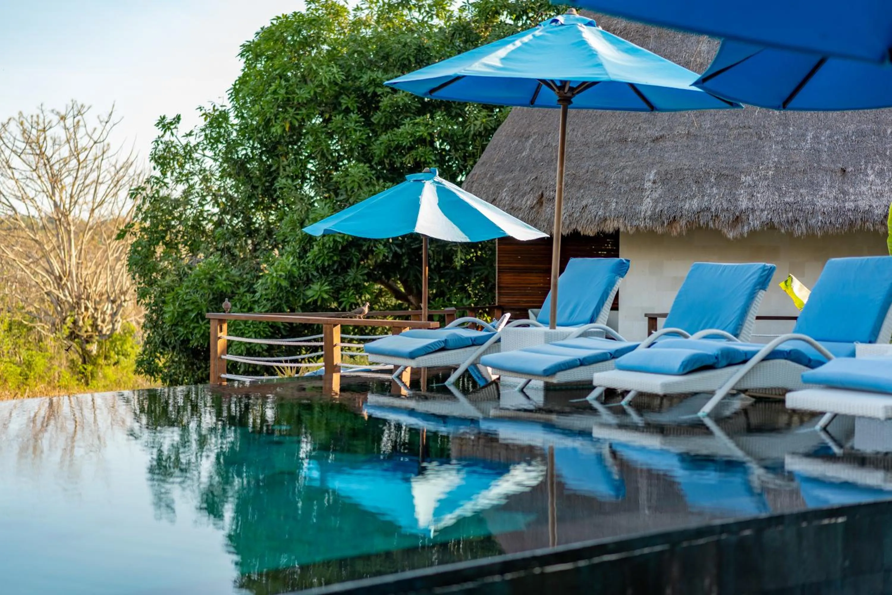 Swimming pool in C-View Villas