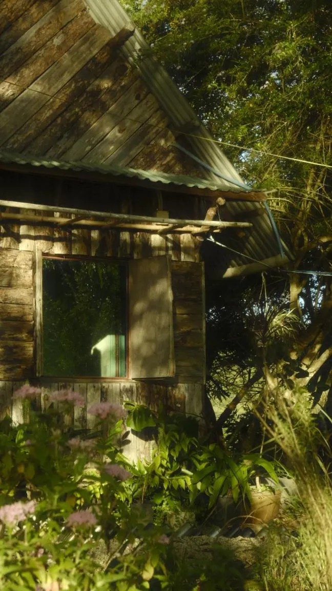 View (from property/room) in The Lake House Dalat