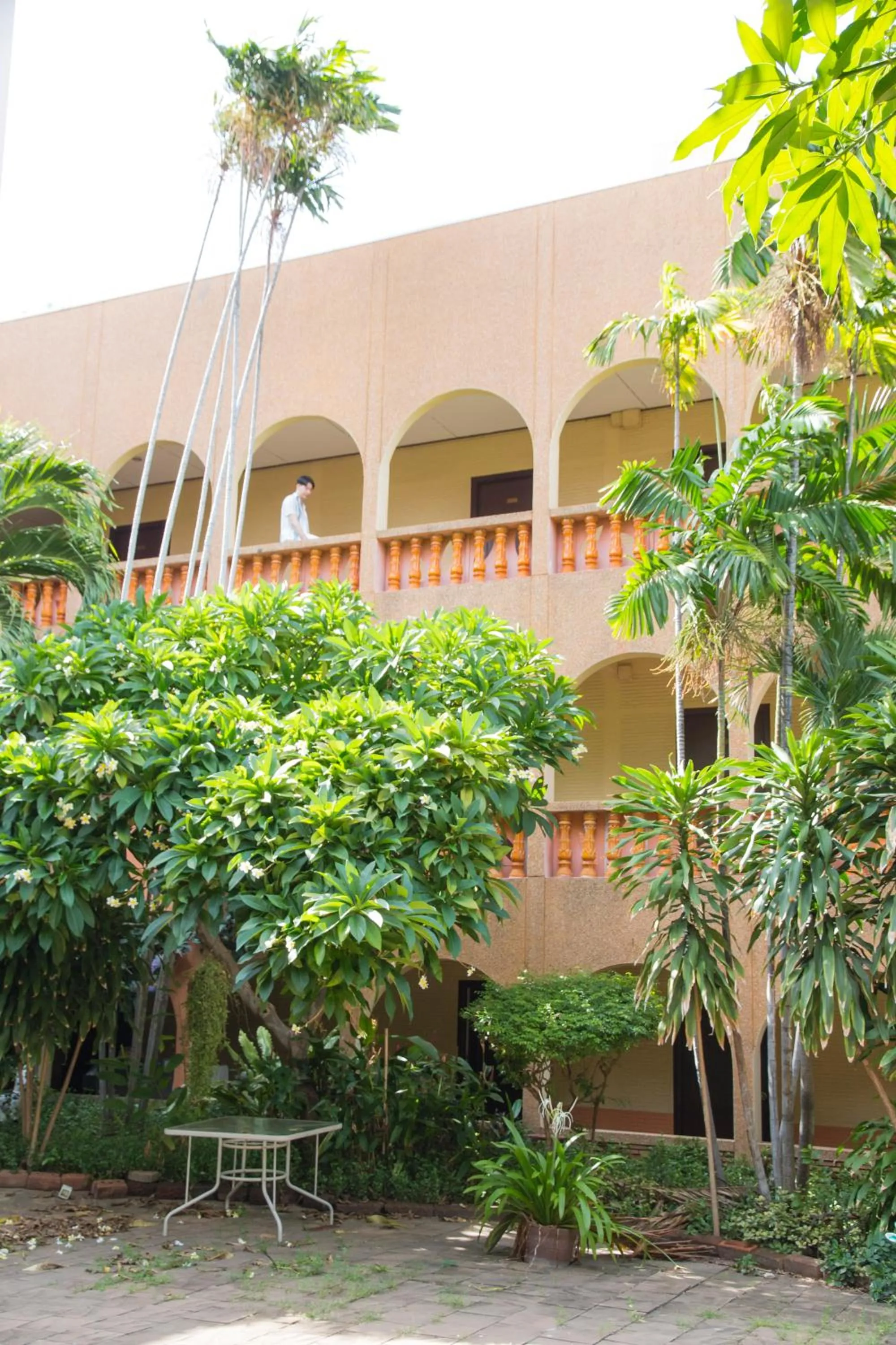 Garden in S Lodge Pattaya formally Sabai Lodge