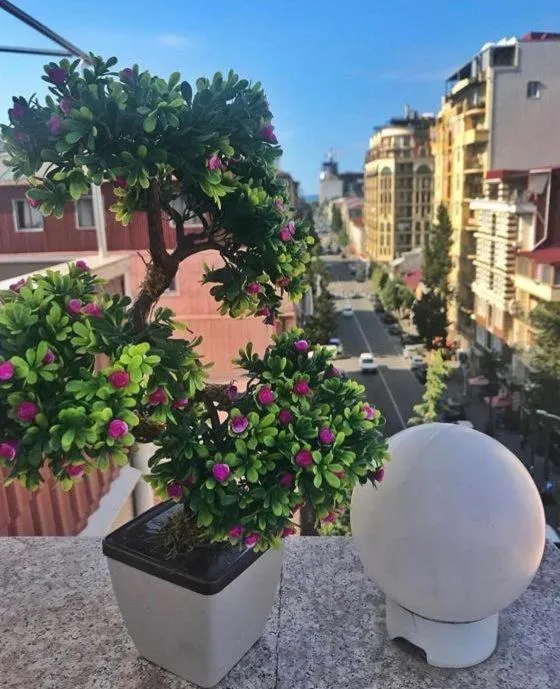 Hotel Elio Inn