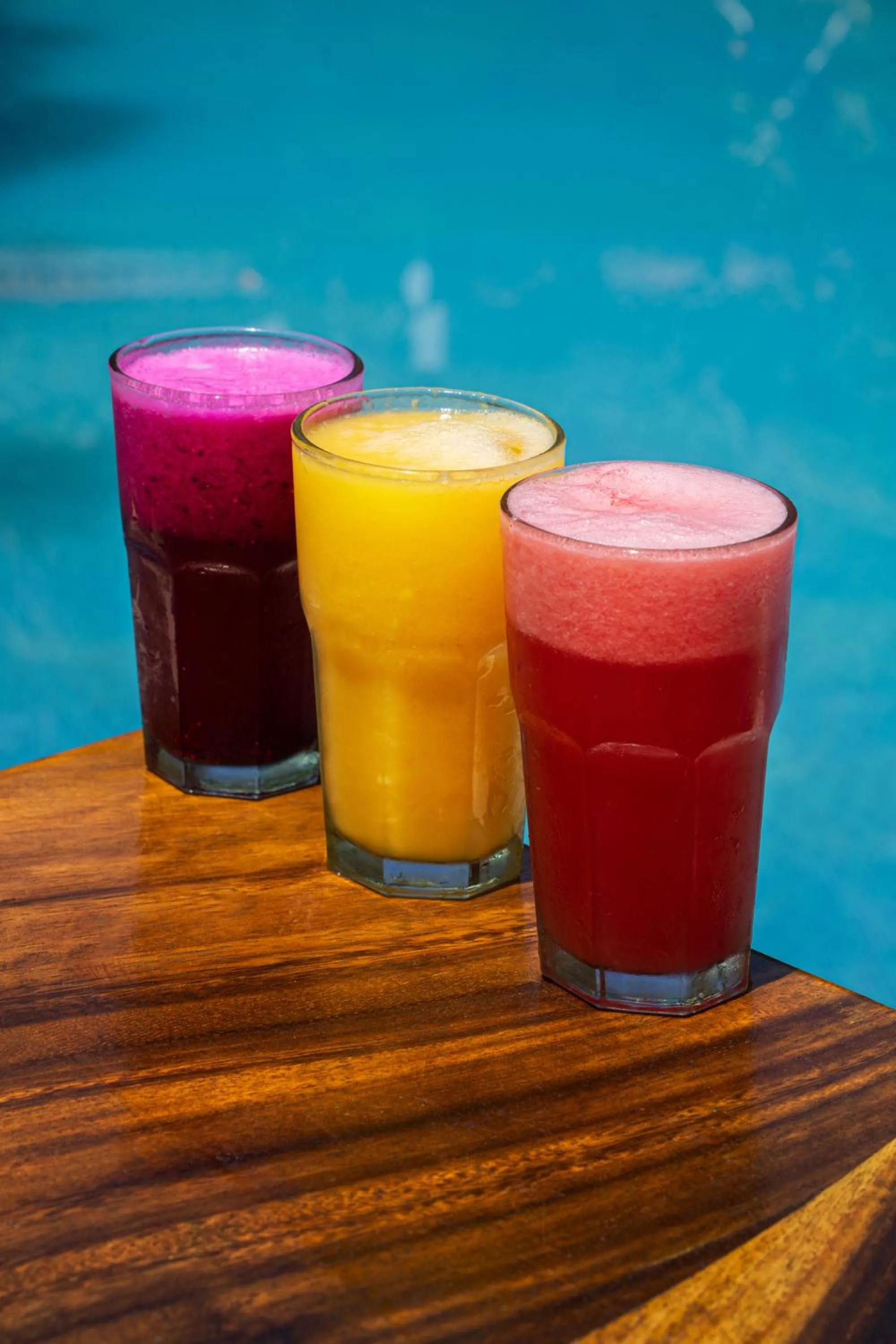 Balcony/Terrace in Easy Surf Camp