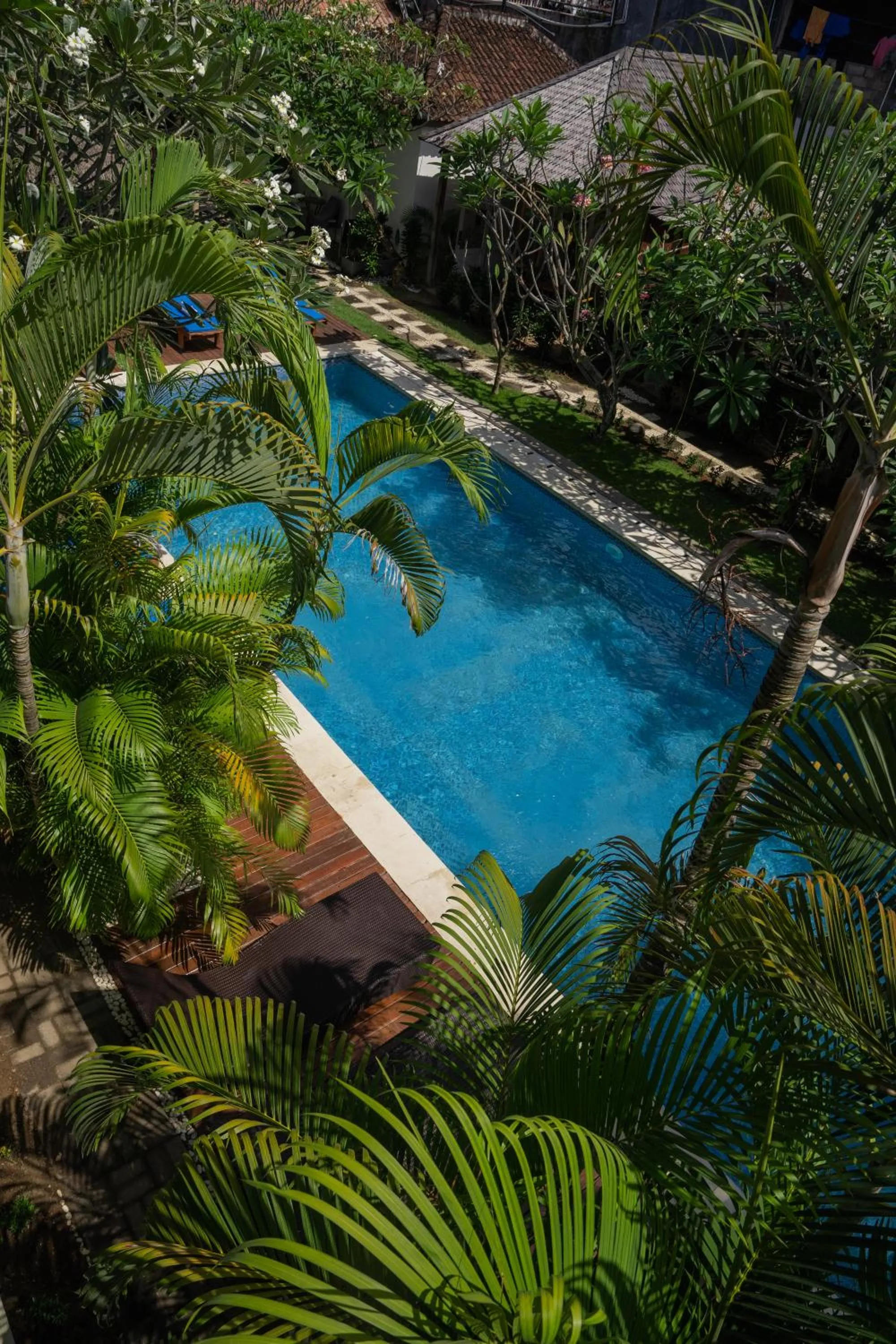 Garden in Easy Surf Camp