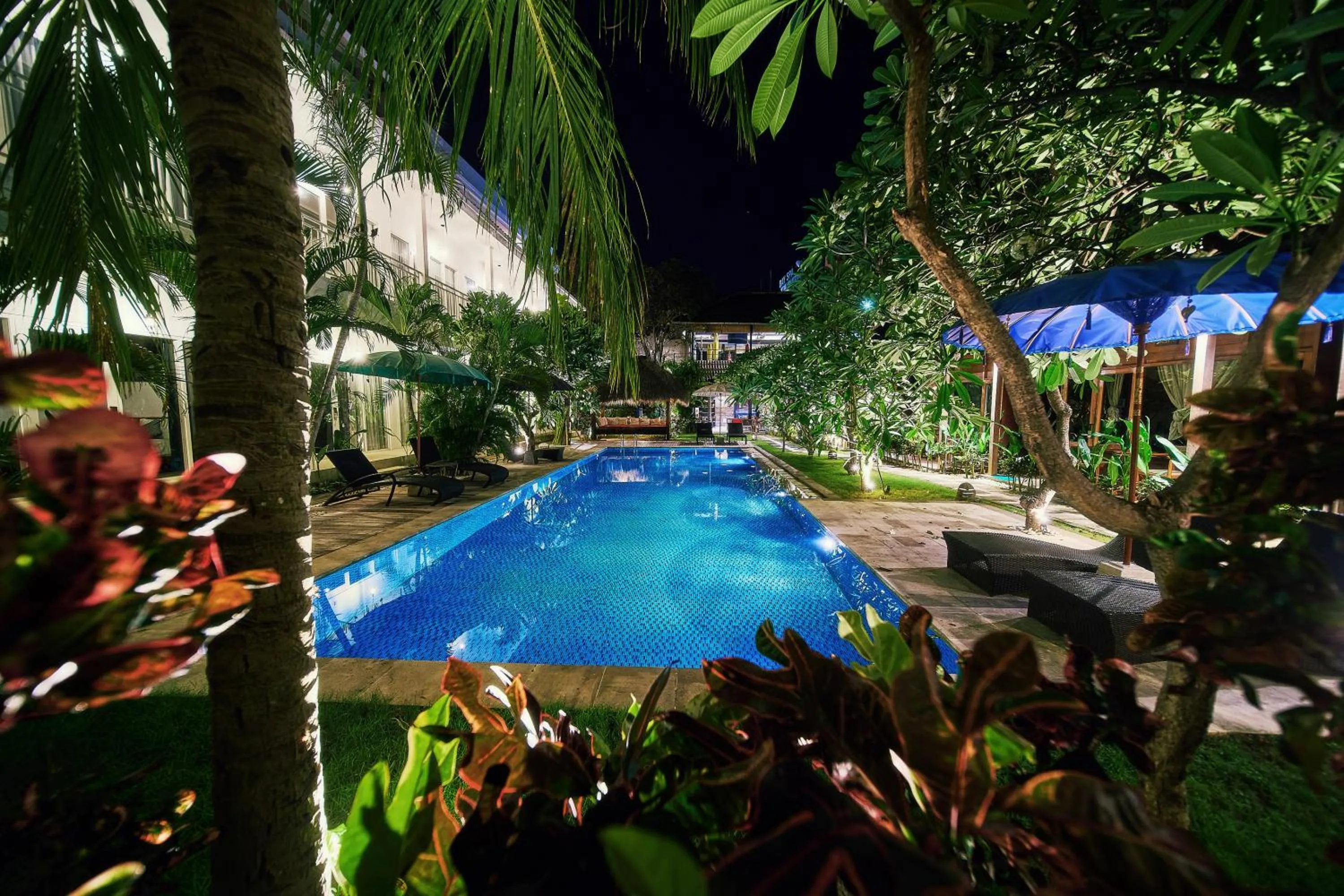 Pool view in Easy Surf Camp