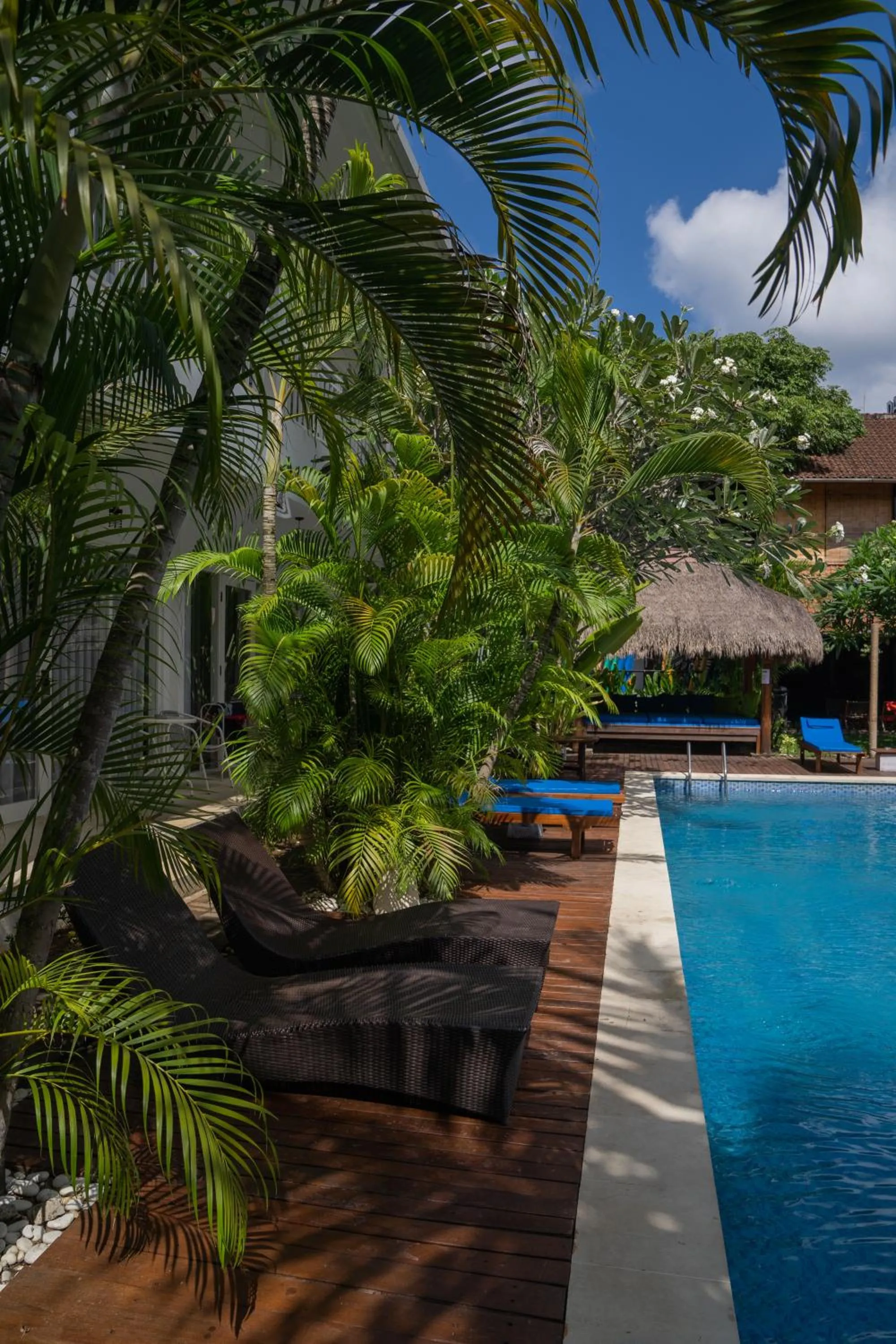 Swimming pool in Easy Surf Camp