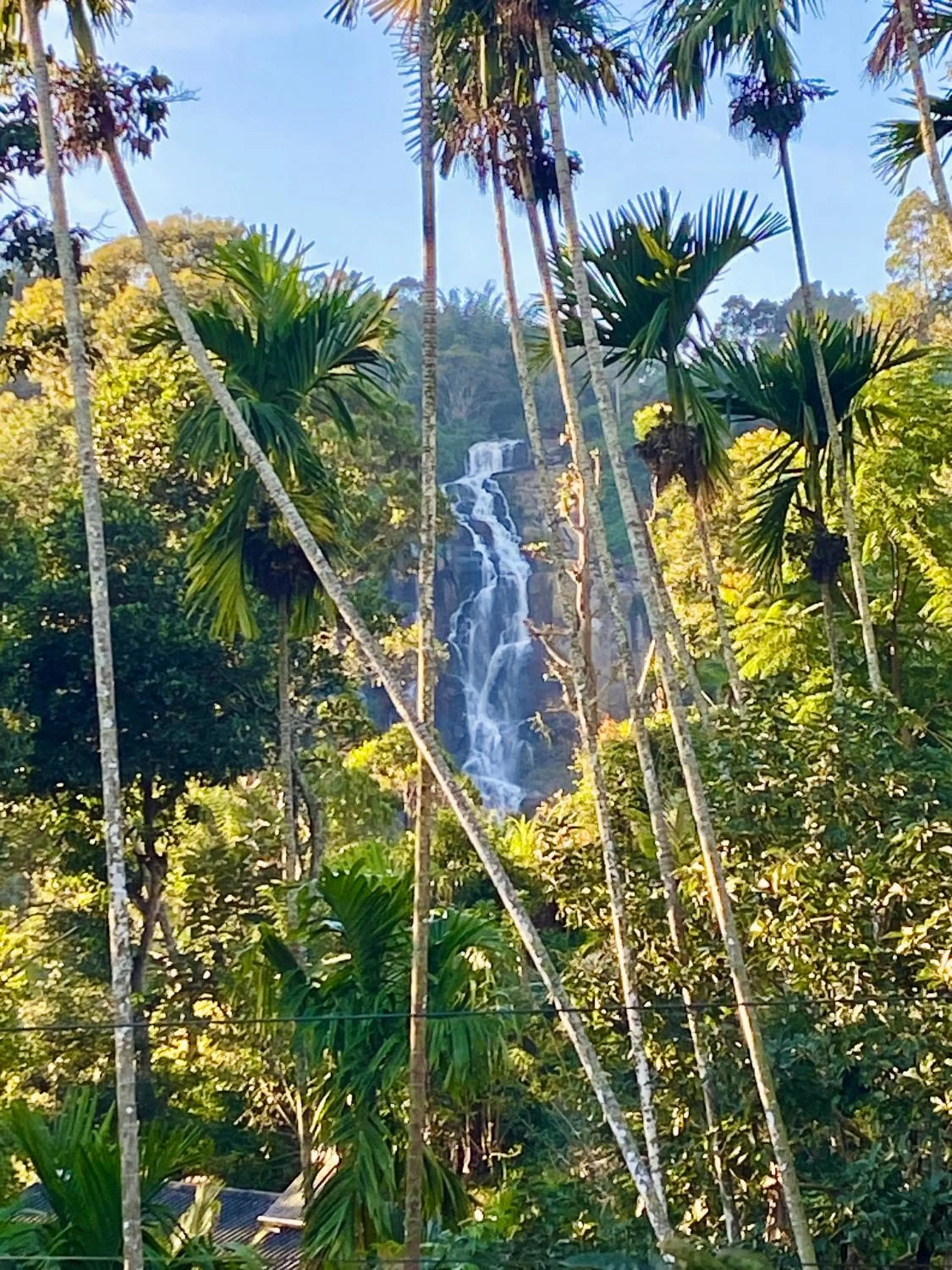 View (from property/room) in Cozy Homestay Waterfall Road Ella