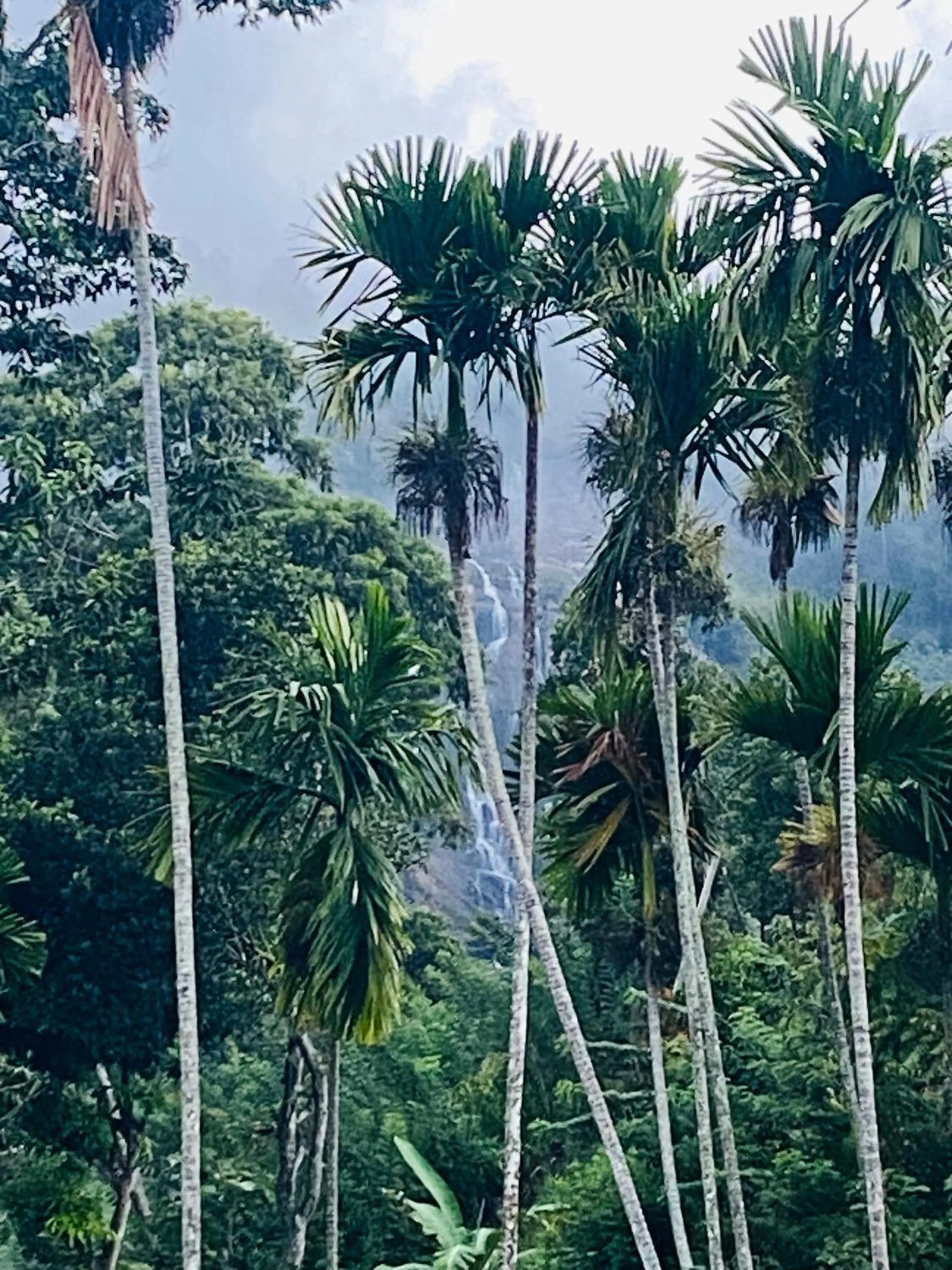 View (from property/room) in Cozy Homestay Waterfall Road Ella