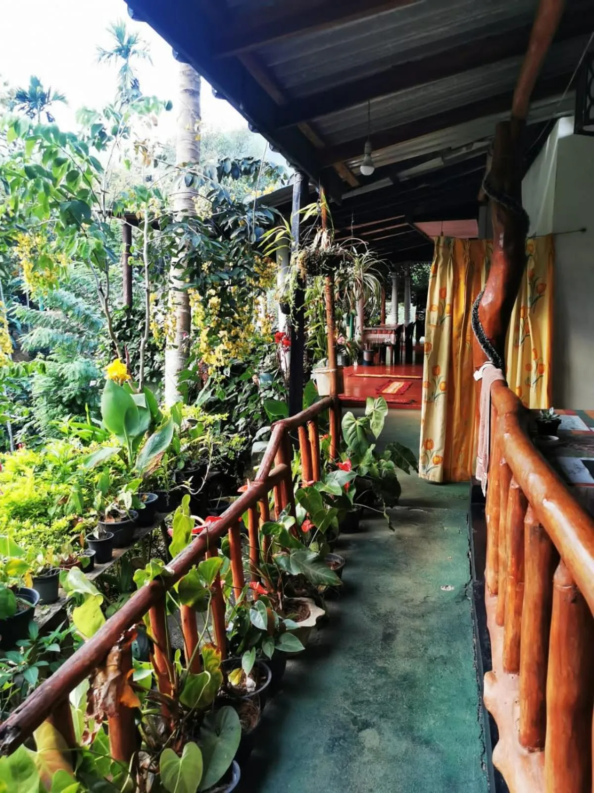 View (from property/room) in Cozy Homestay Waterfall Road Ella