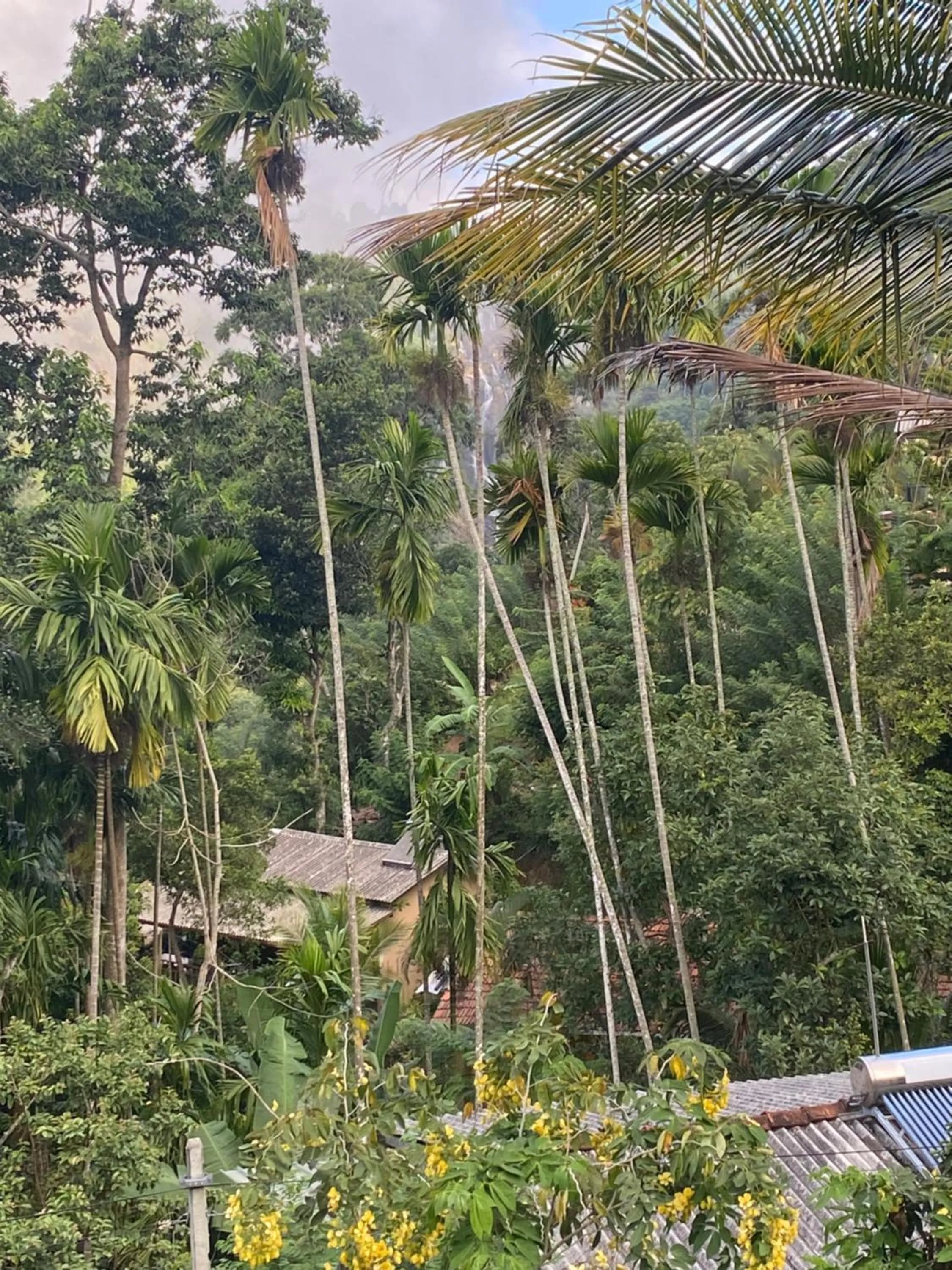 Natural landscape in Cozy Homestay Waterfall Road Ella