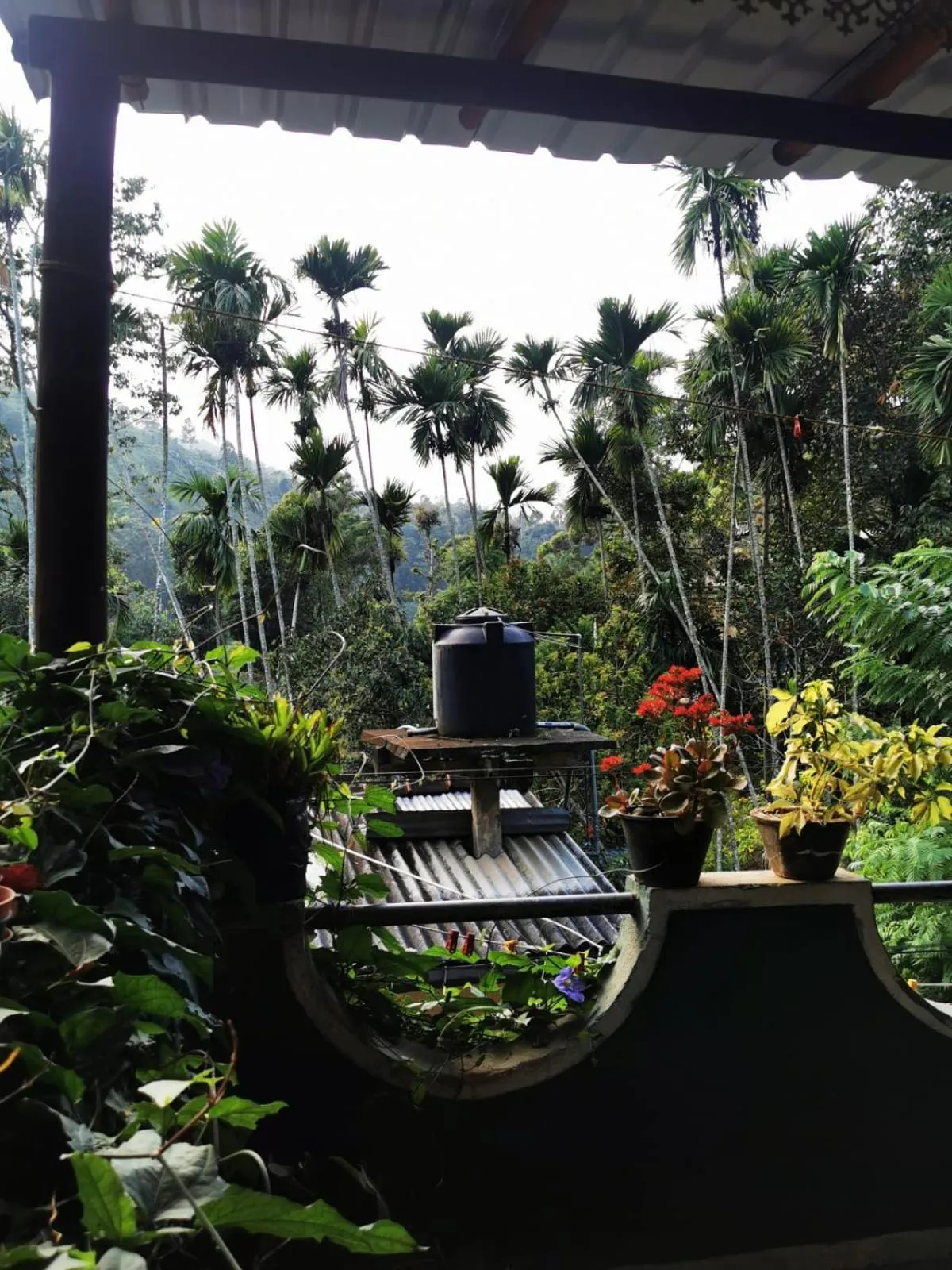 Natural landscape in Cozy Homestay Waterfall Road Ella