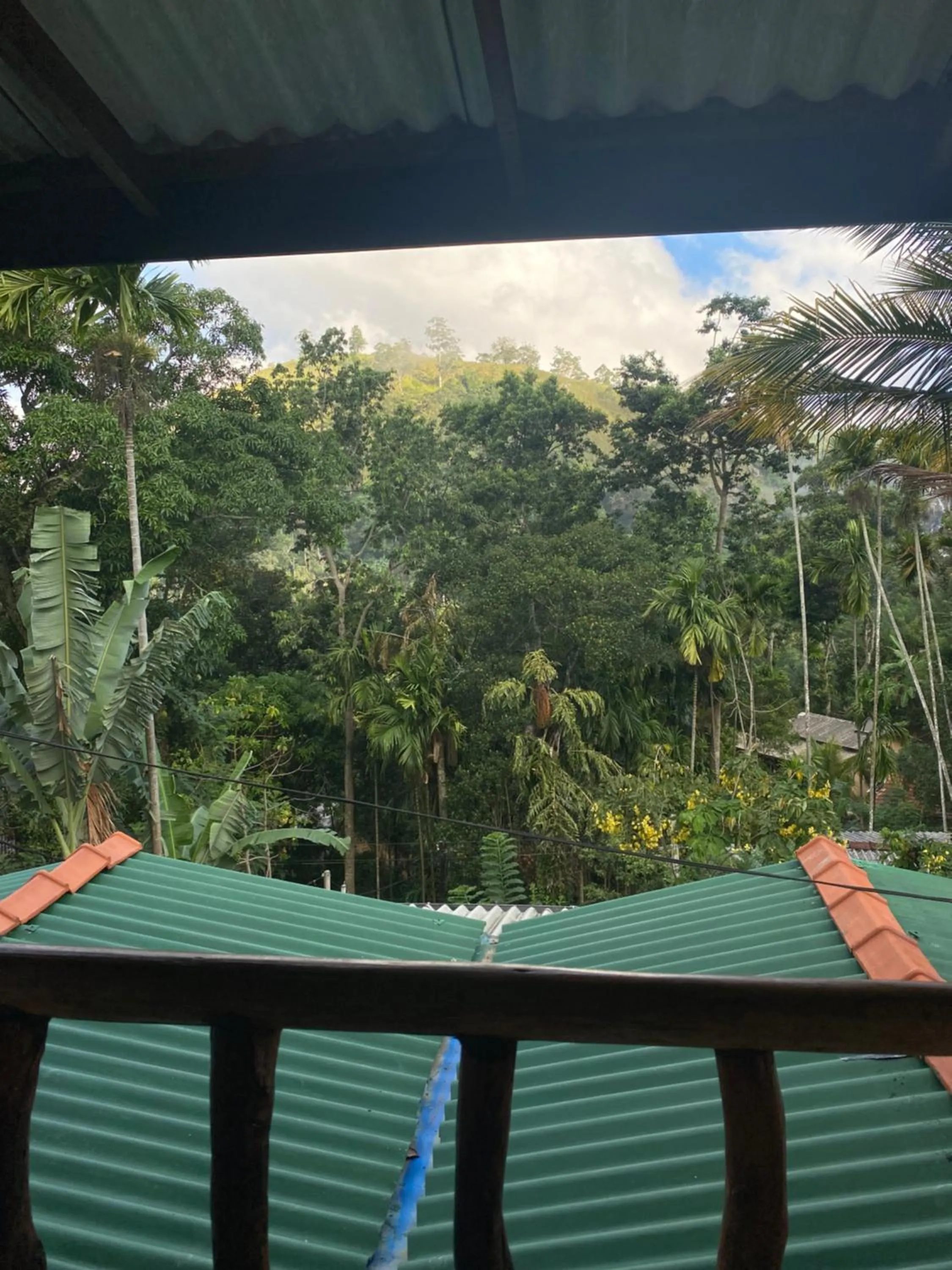 Natural landscape in Cozy Homestay Waterfall Road Ella