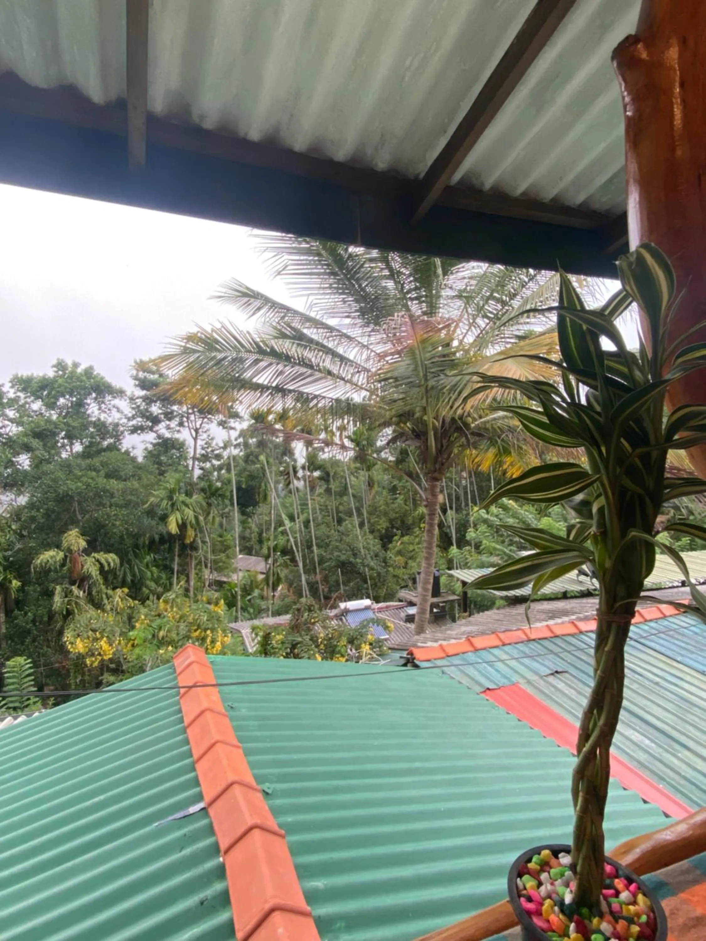 Balcony/Terrace in Cozy Homestay Waterfall Road Ella