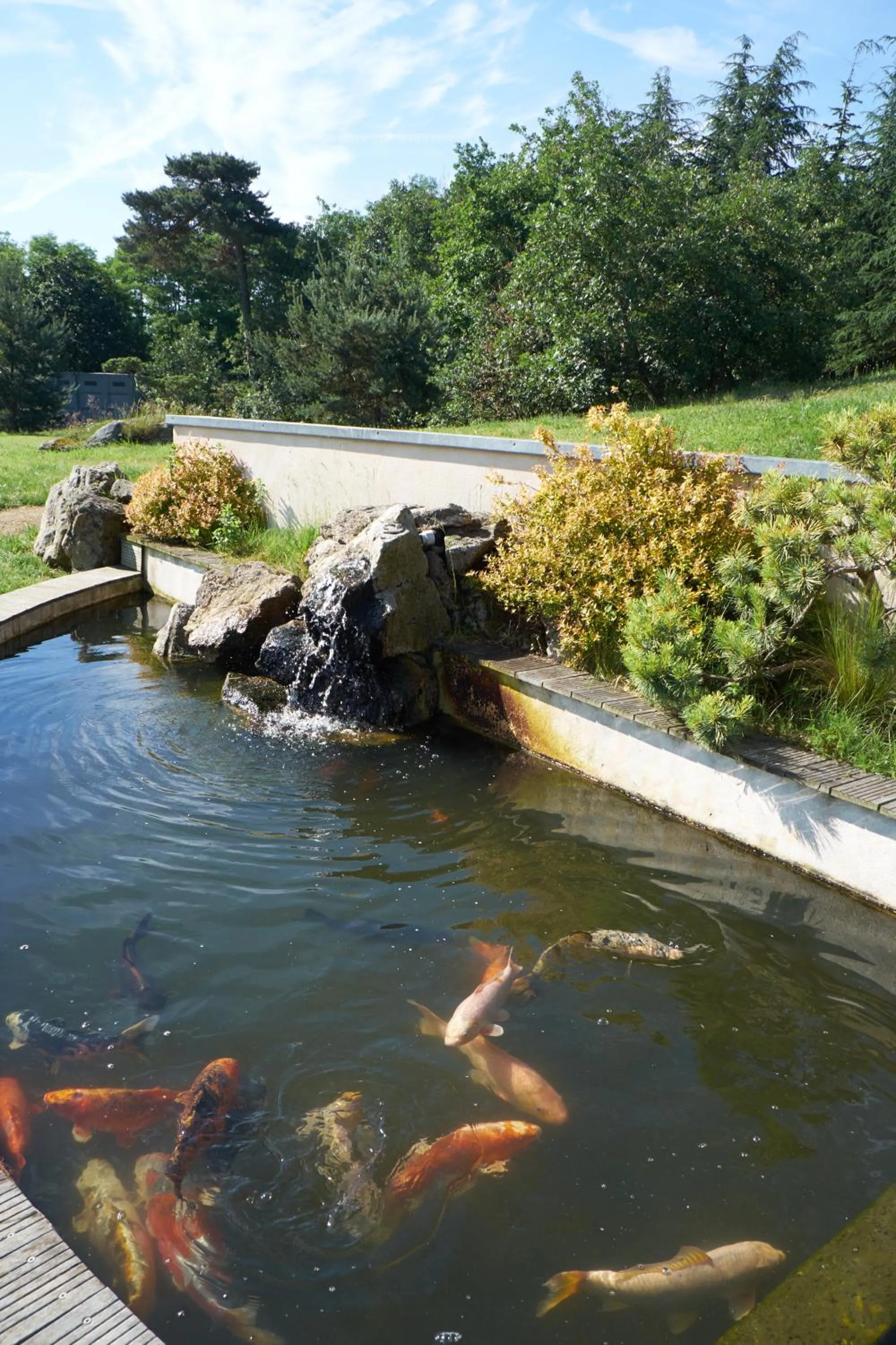 Animals in la Palisse