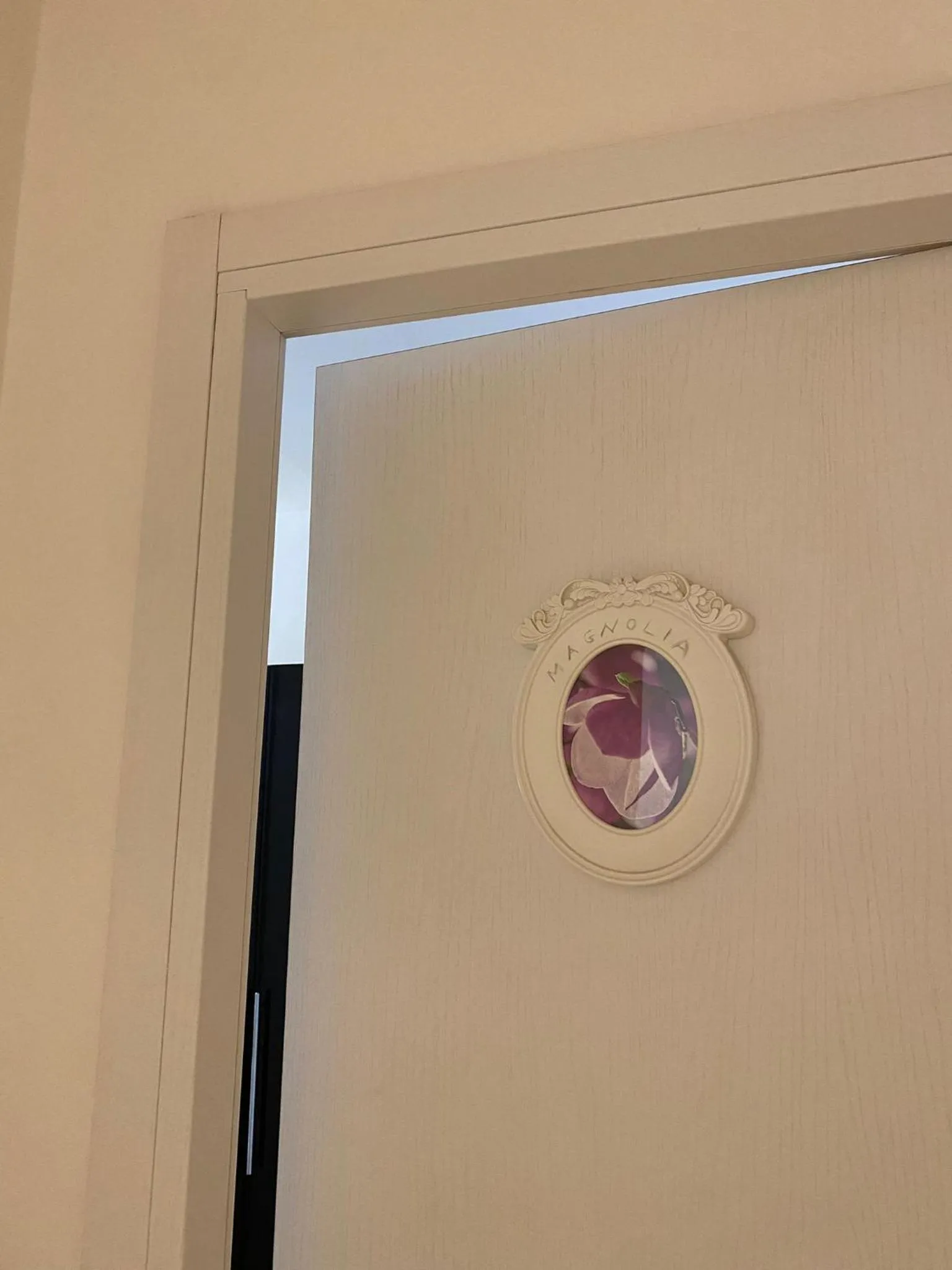 Rome Sweet Home Vatican