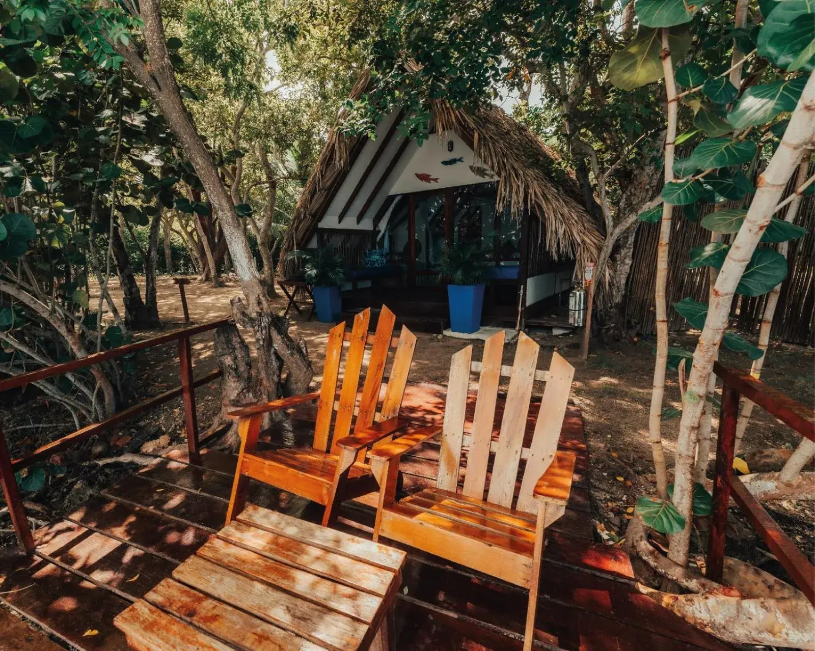 Deluxe Bungalow with Sea View in Hotel Islabela Islas Del Rosario Deluxe Bungalow with Sea View in Hotel Islabela Islas Del Rosario