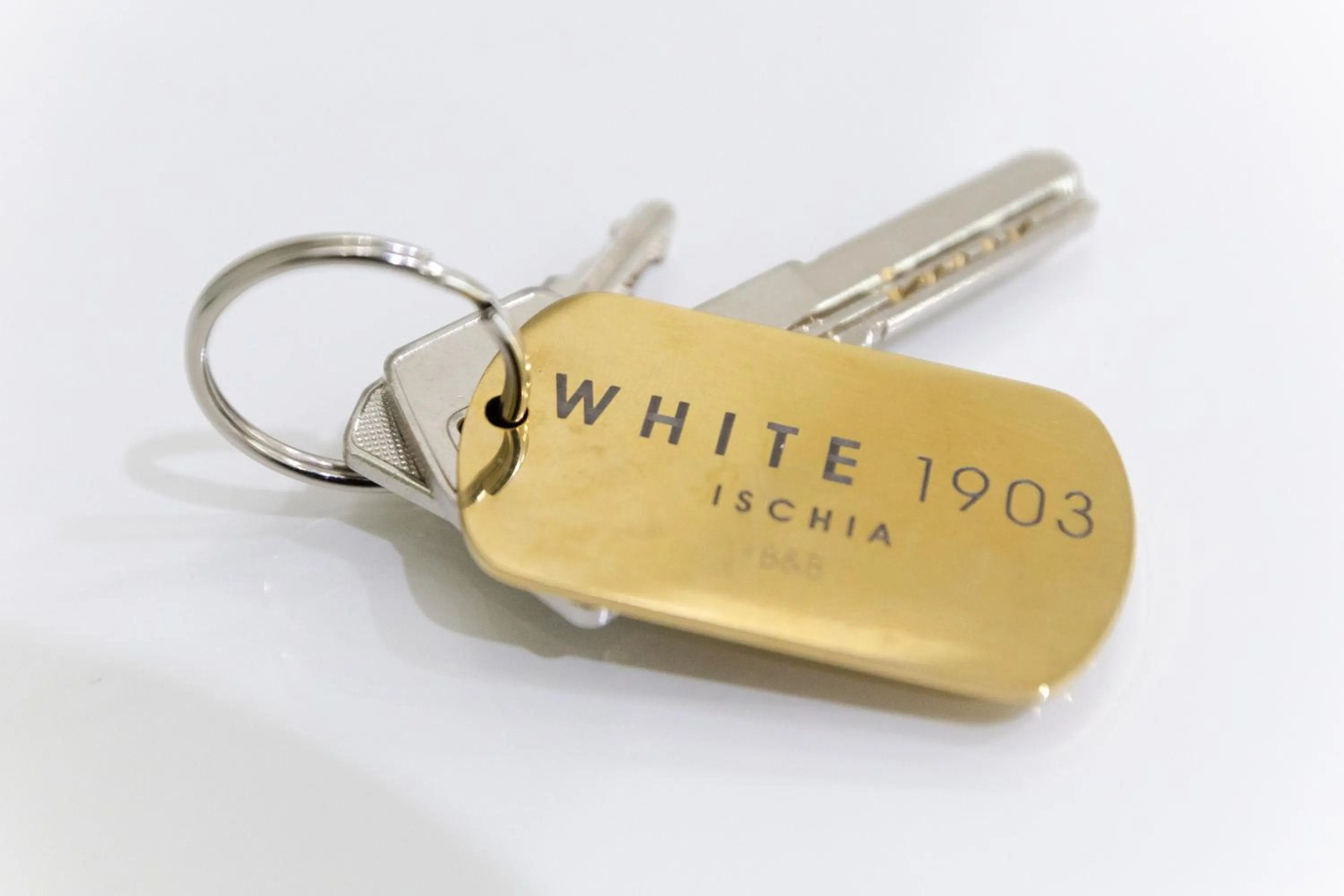 Text overlay in White 1903 - Rooftop Pool & Luxury Rooms