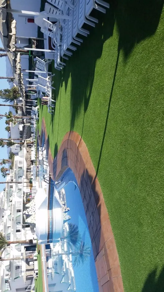 Swimming pool in Vista Oasis