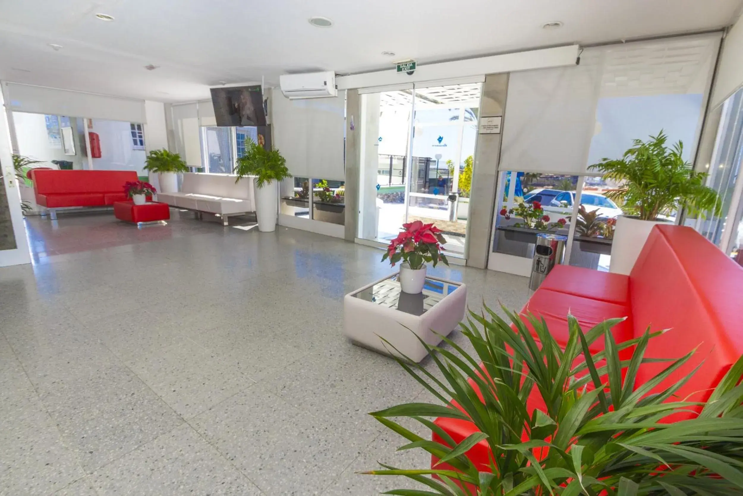 Lobby or reception in Vista Oasis Lobby or reception in Vista Oasis