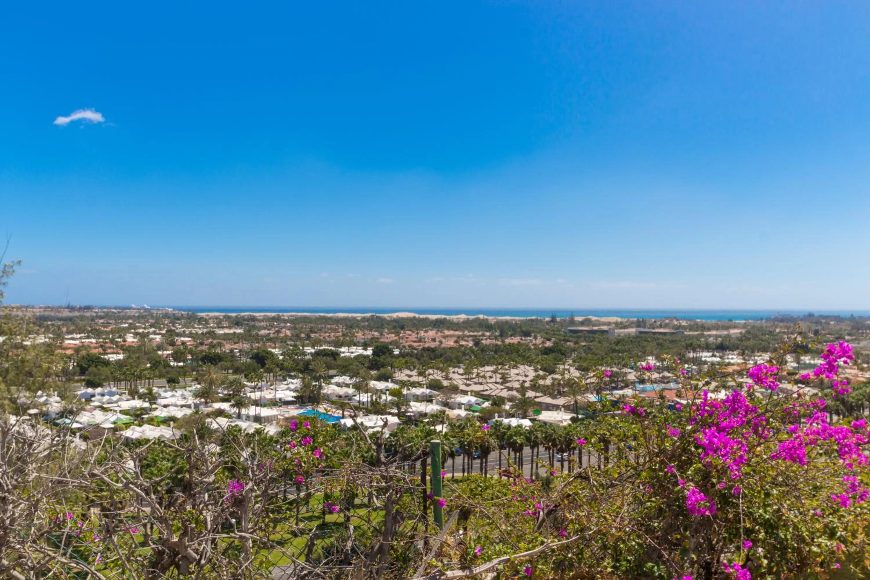 City view in Vista Oasis
