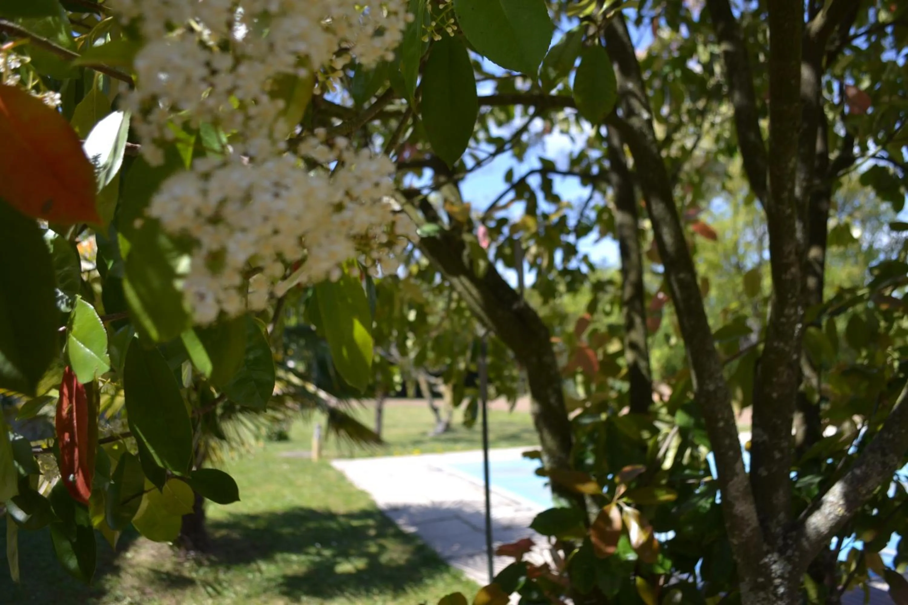 Garden in La maison de Thiré