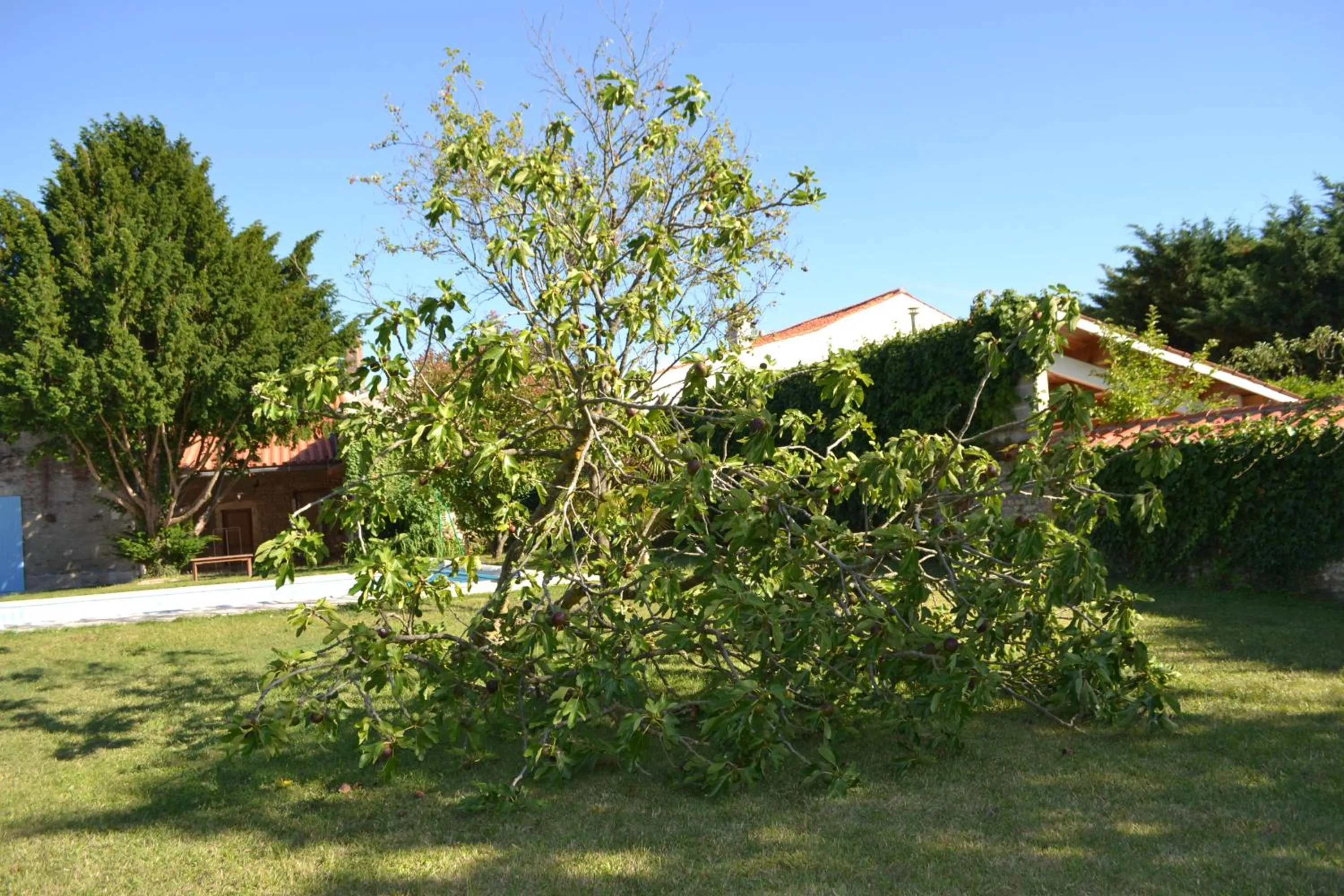 Garden in La maison de Thiré