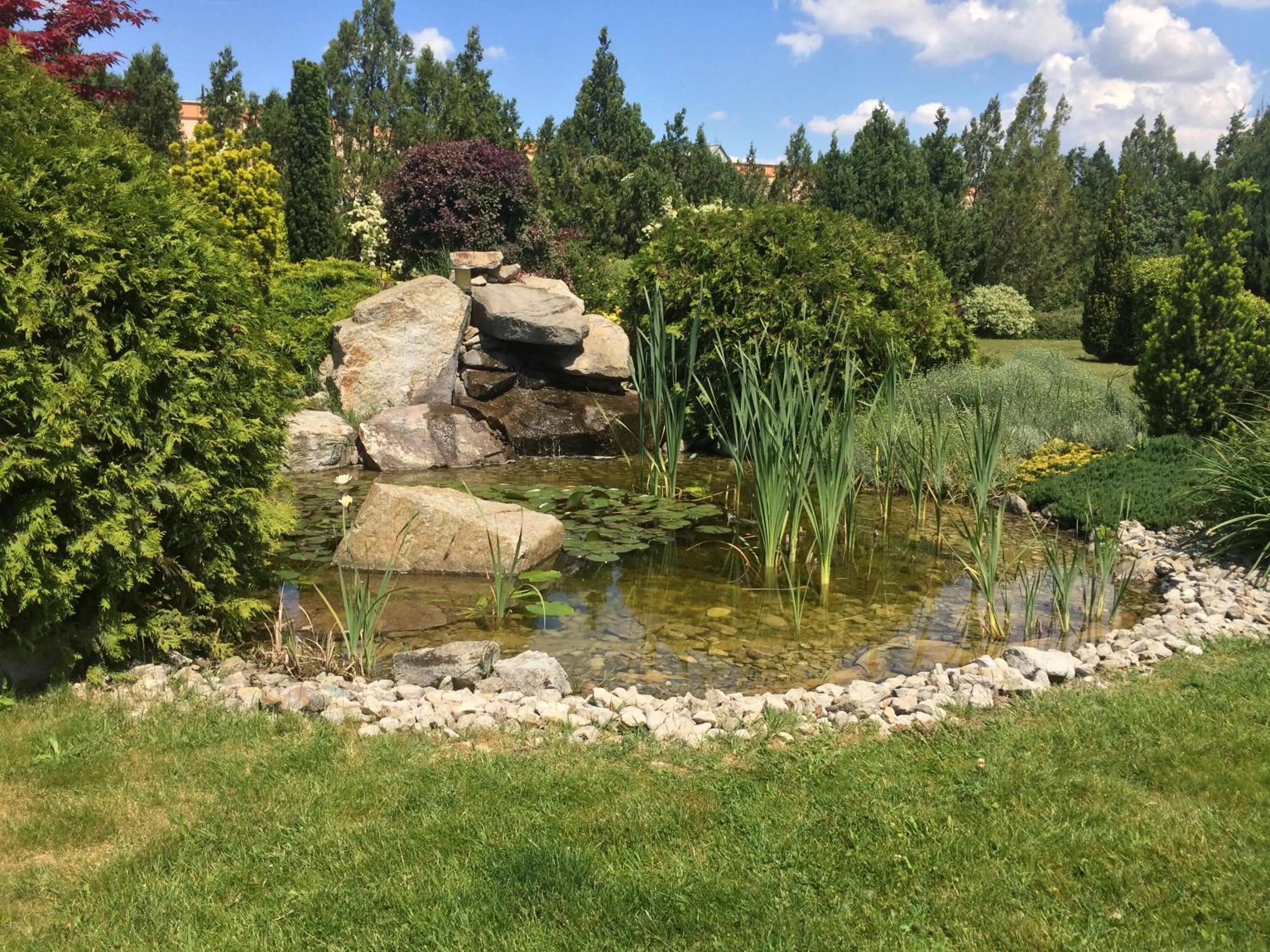 Natural landscape in Hotel Remy