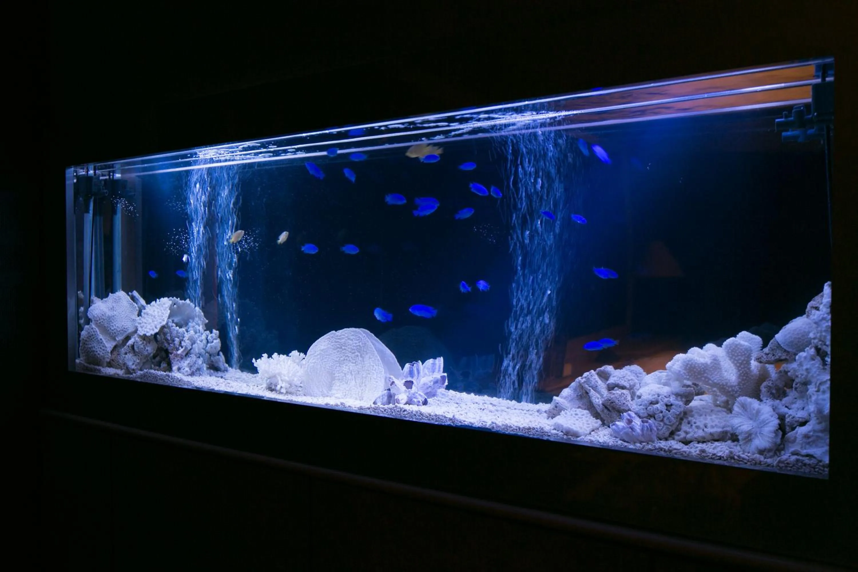 Hotel Atlantis Otsu (Adult Only)