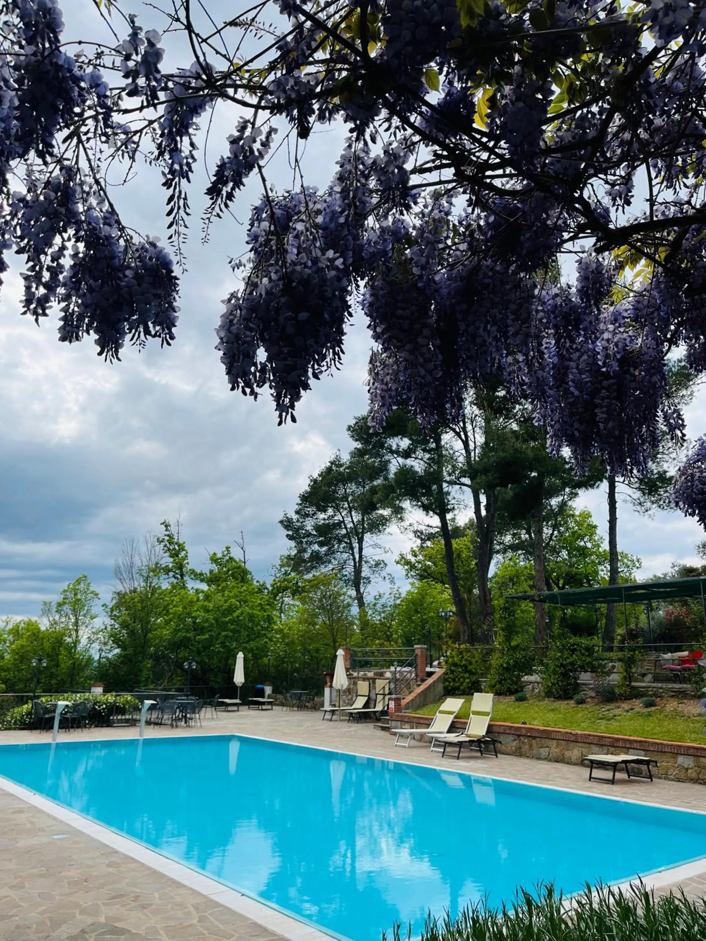 Pool view in Villa Schiatti