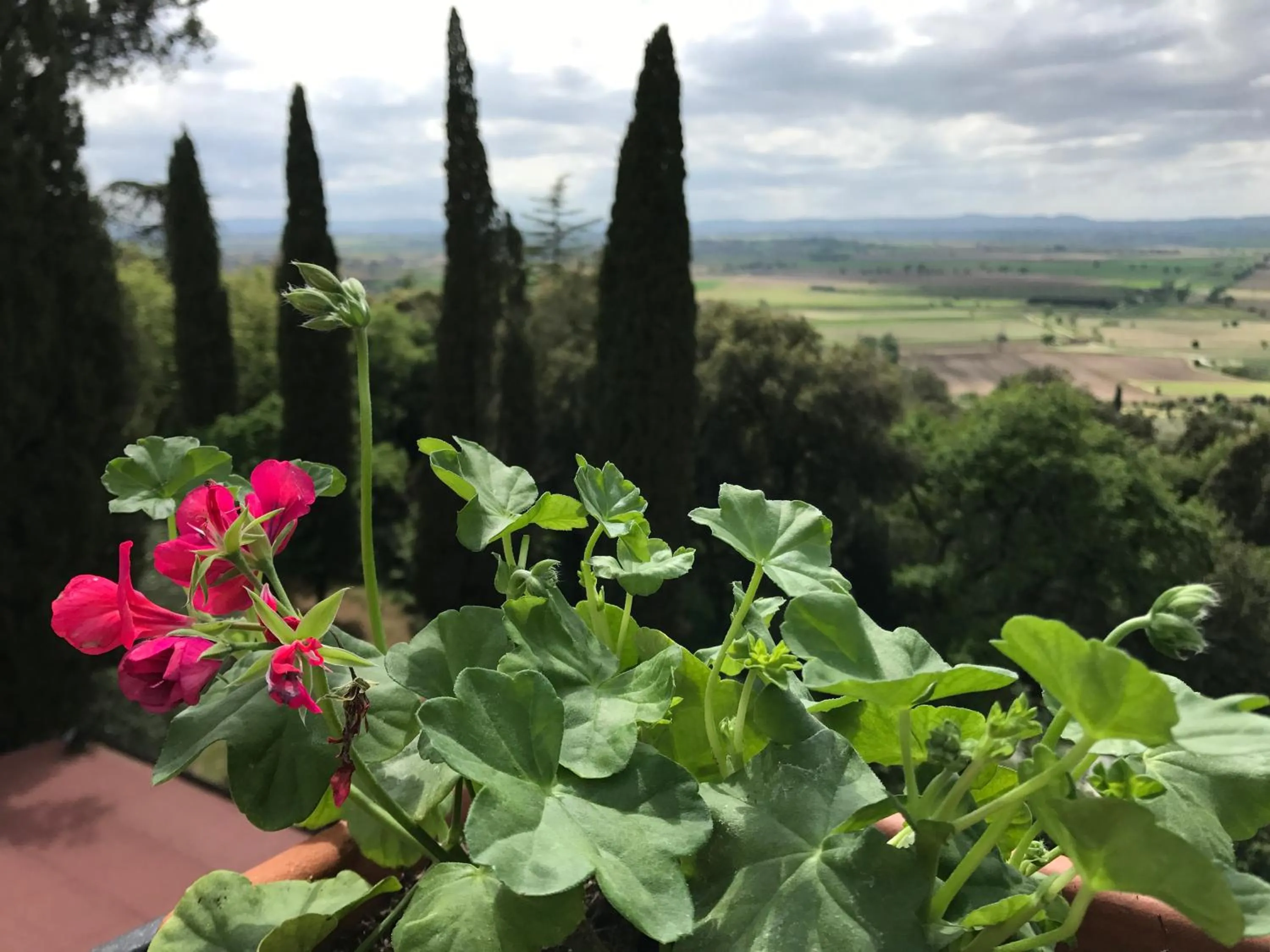 View (from property/room) in Villa Schiatti