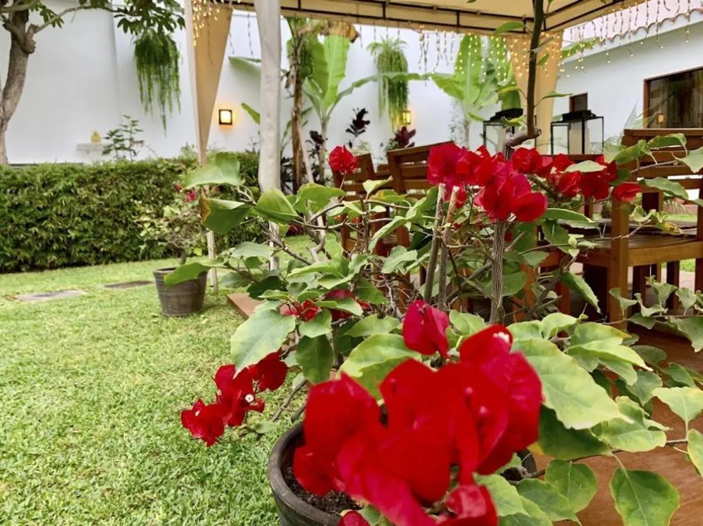 Spring in Casa Bella Boutique Hotel San Isidro