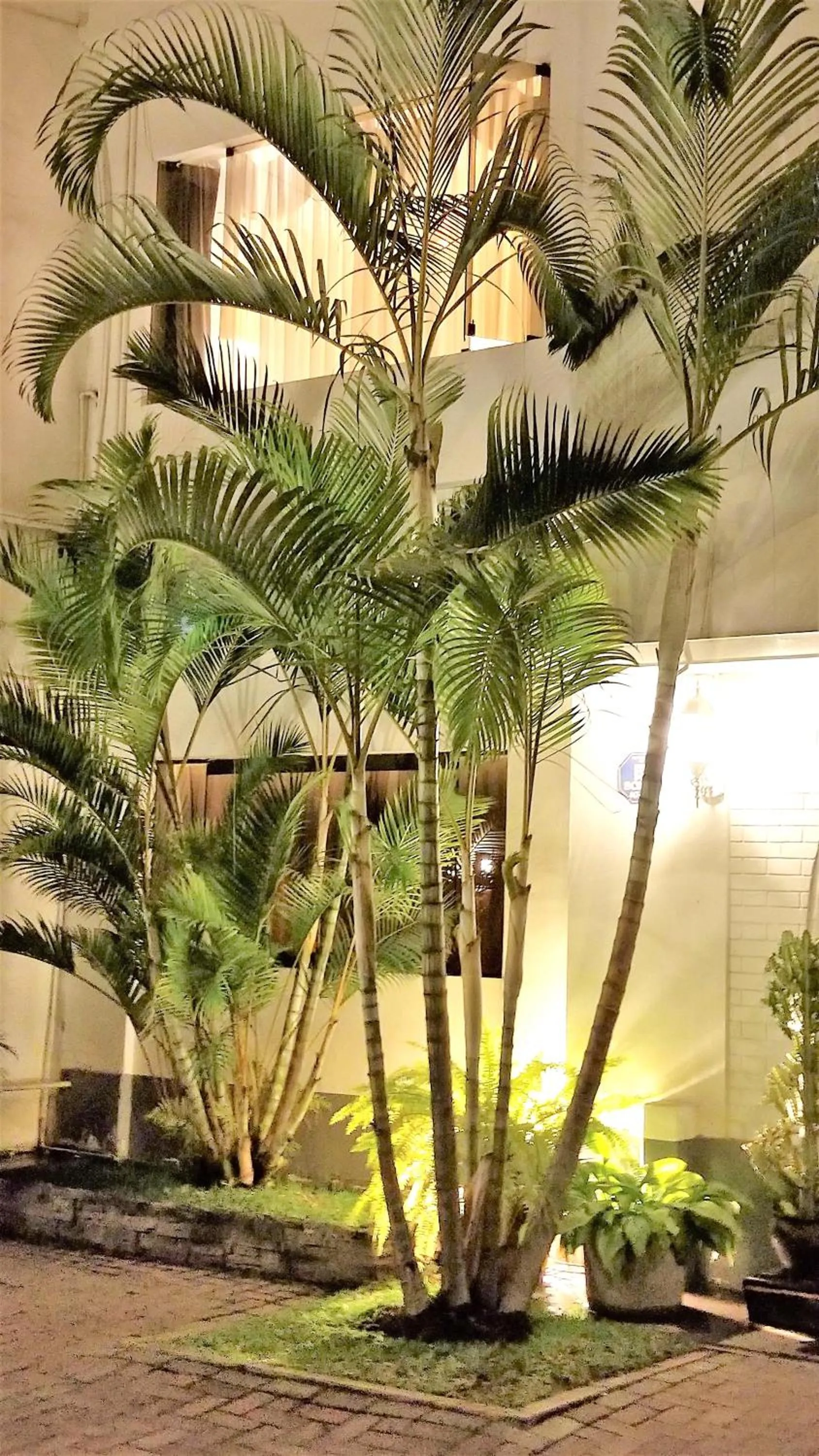 Facade/entrance in Casa Bella Boutique Hotel San Isidro