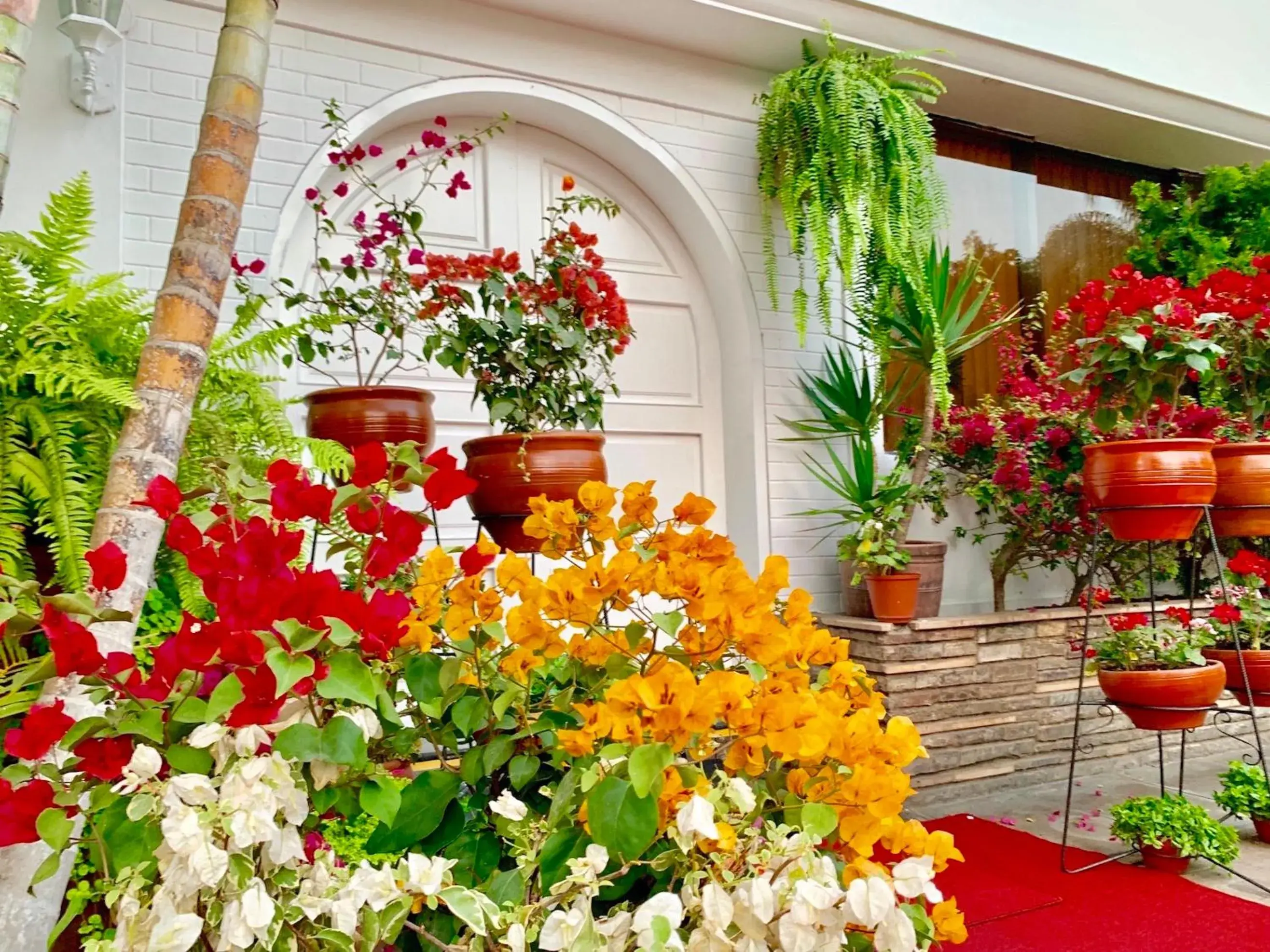 Facade/entrance in Casa Bella Boutique Hotel San Isidro Facade/entrance in Casa Bella Boutique Hotel San Isidro