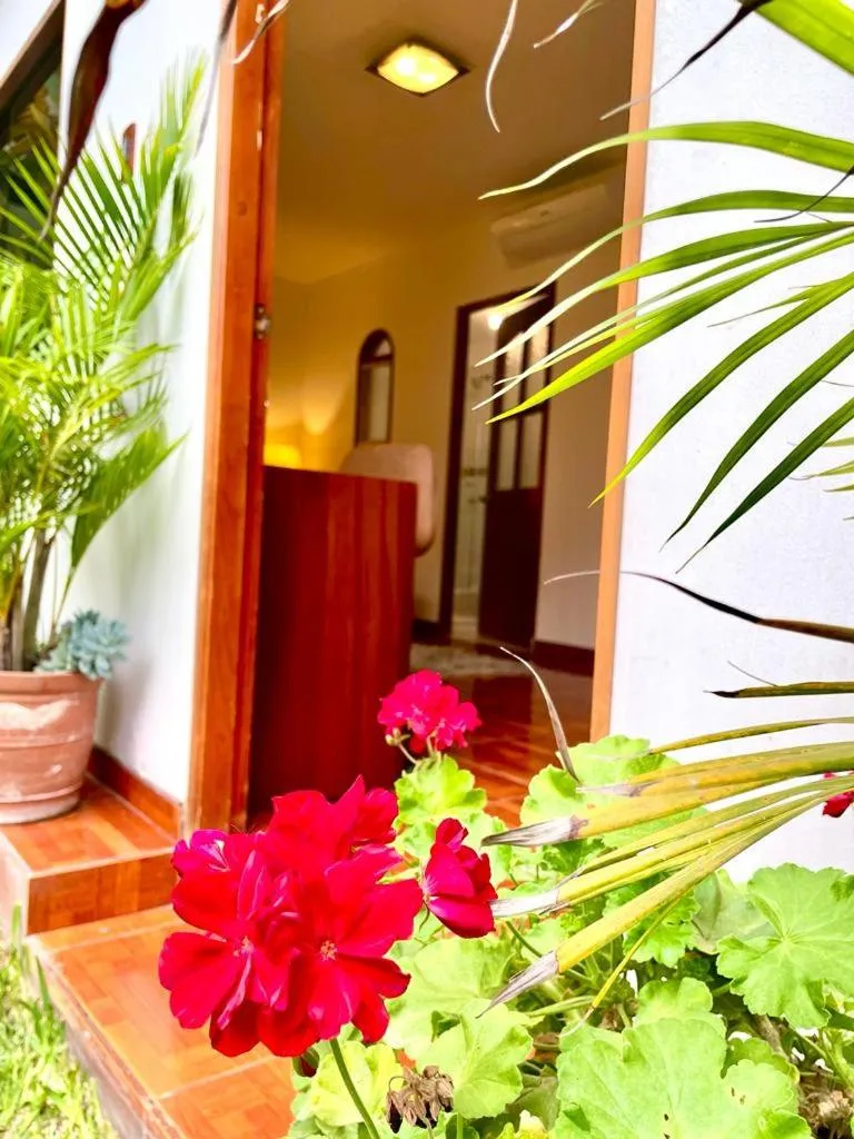 Garden in Casa Bella Boutique Hotel San Isidro