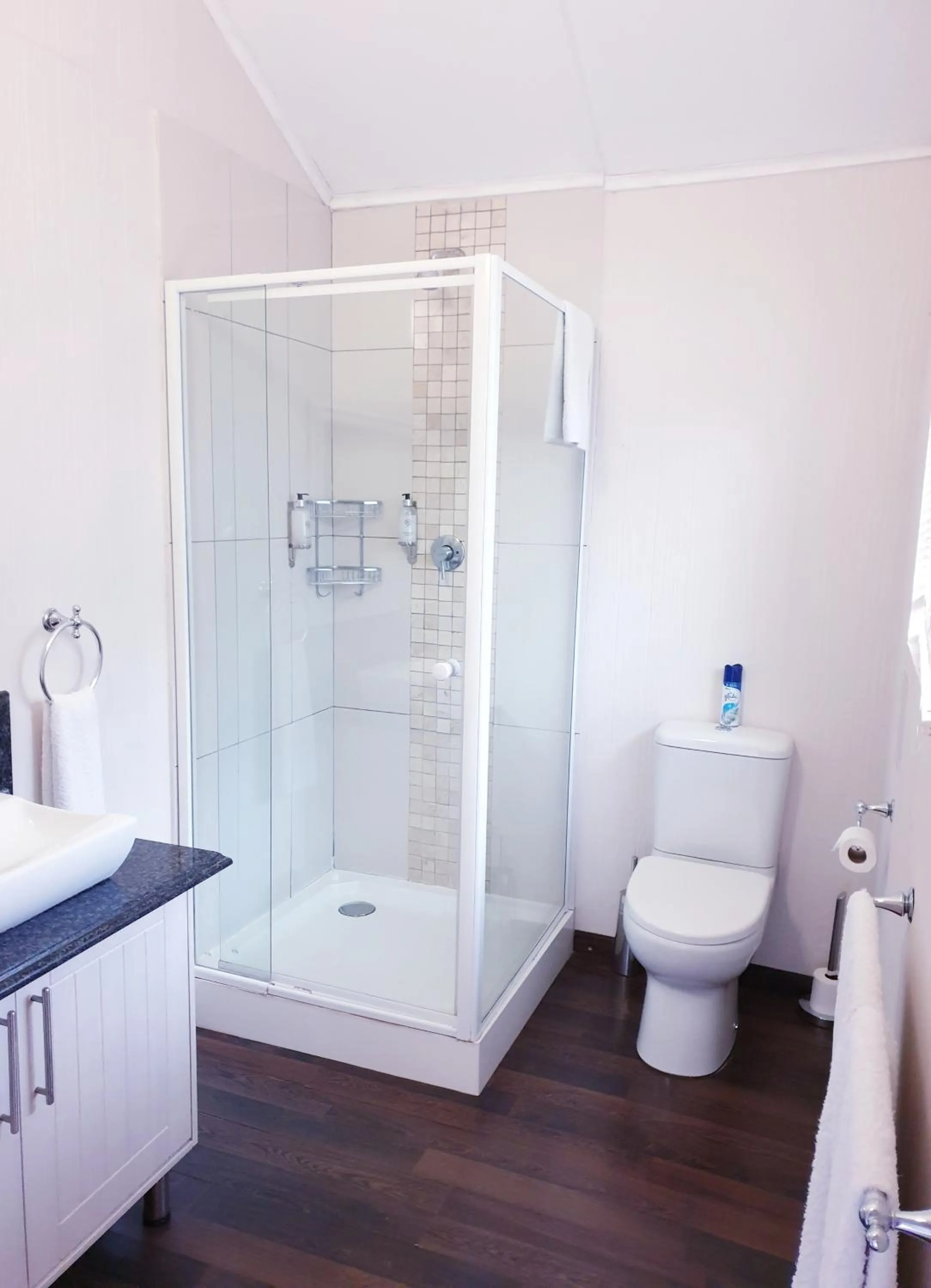 Shower in Haggards on Hilldrop