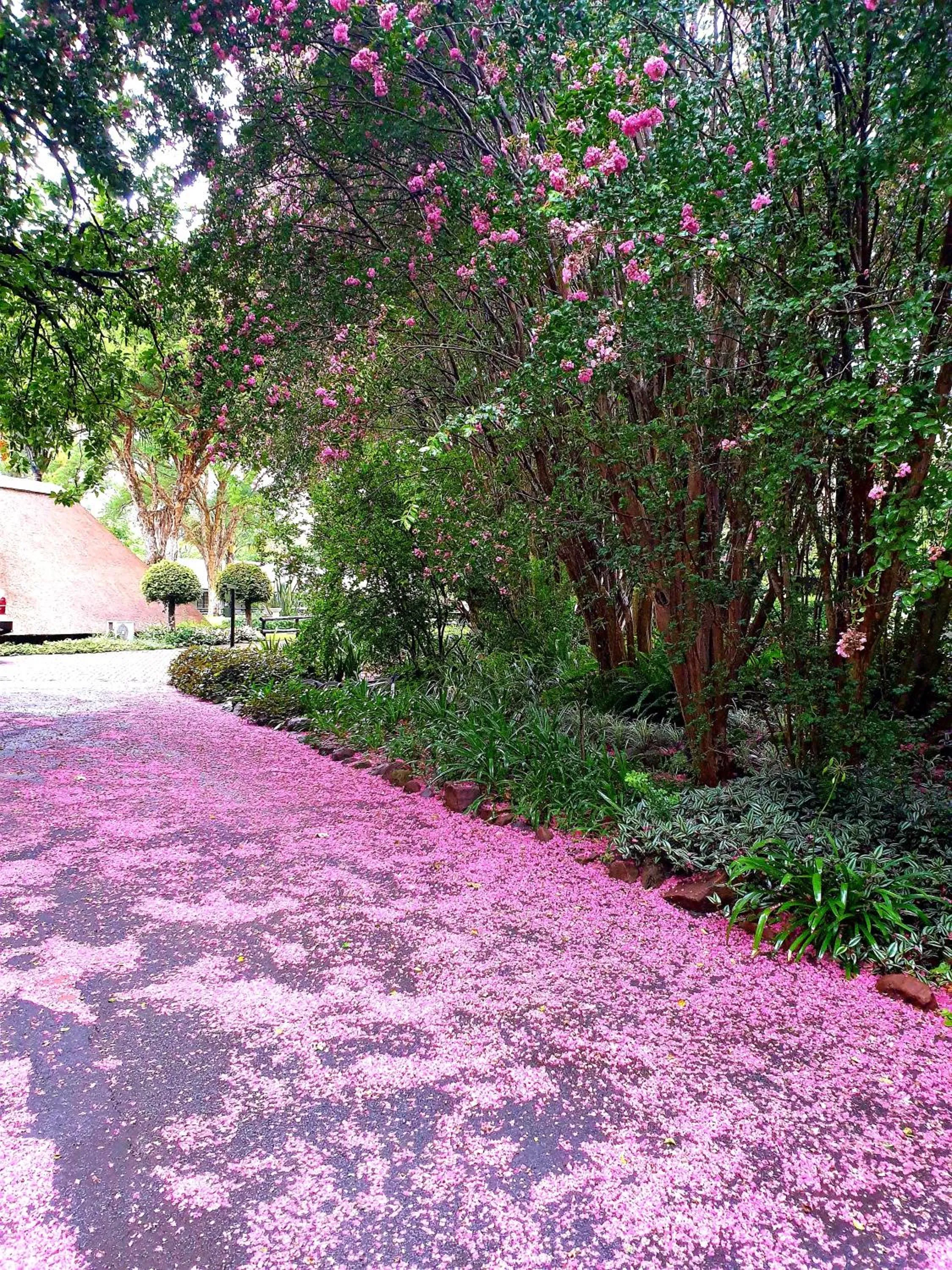 Natural landscape in Haggards on Hilldrop