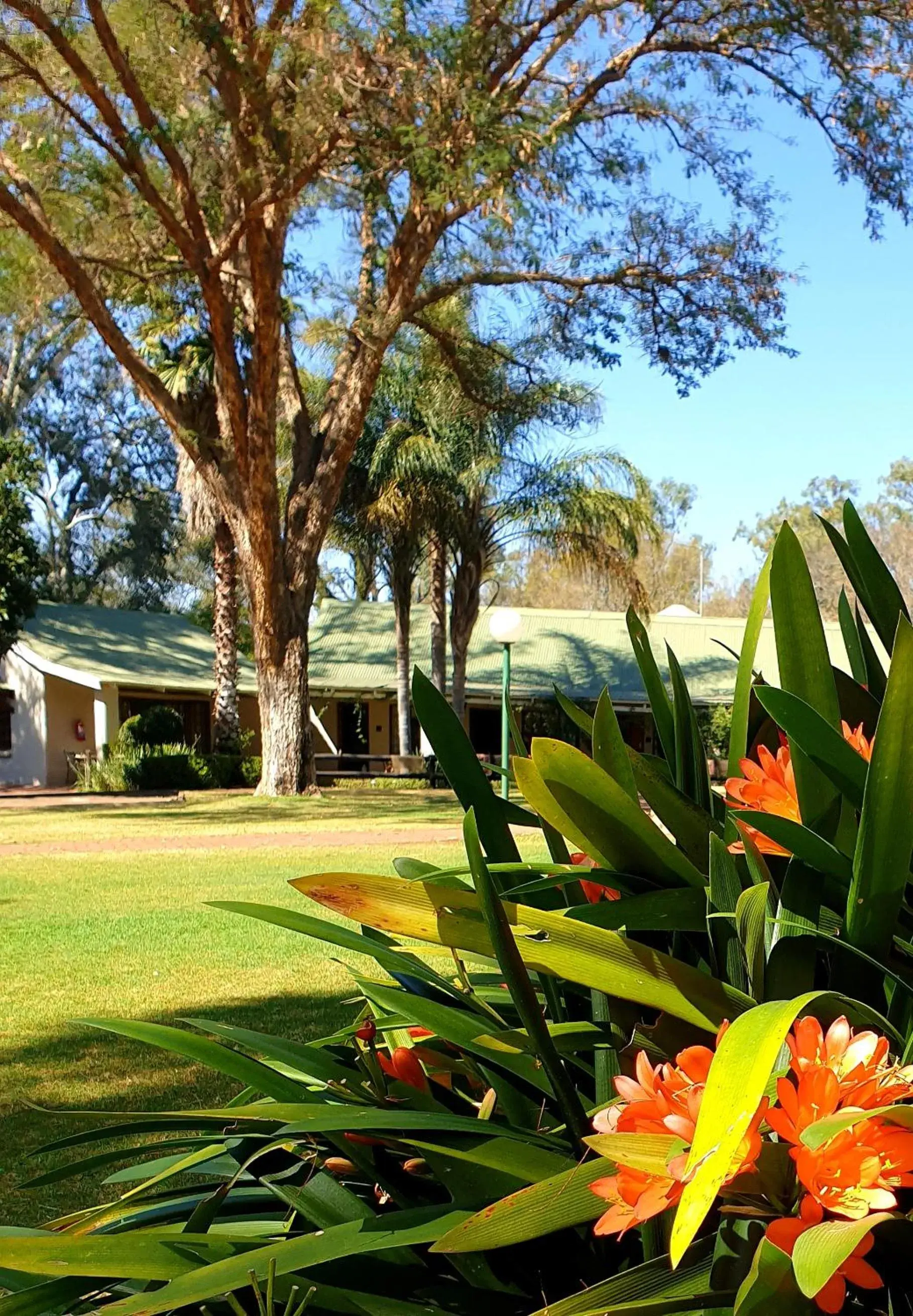 Twin Room in Haggards on Hilldrop Twin Room in Haggards on Hilldrop