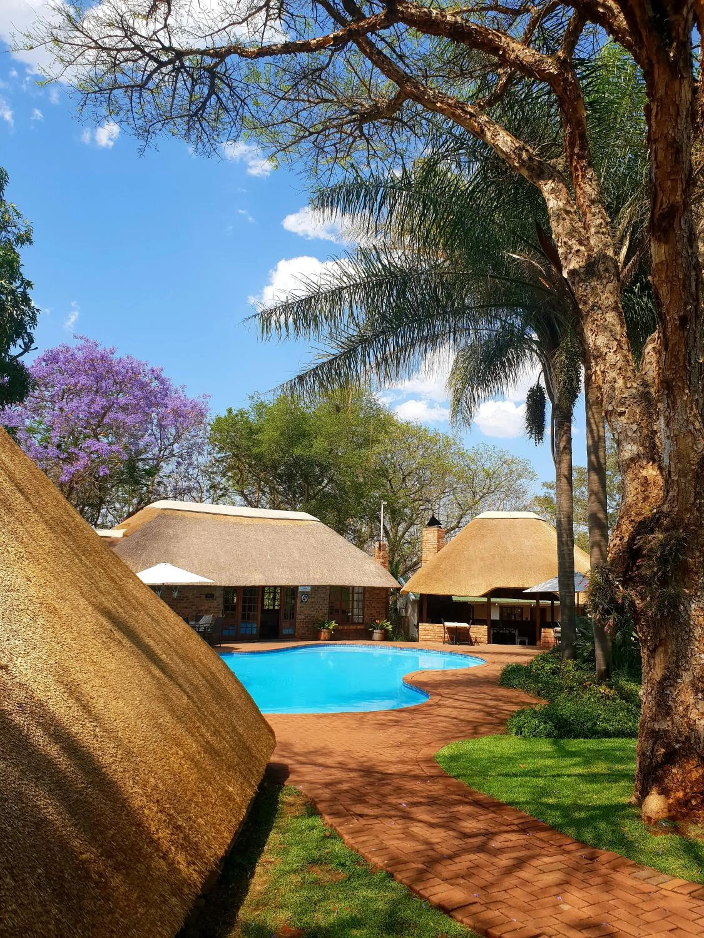 Billiard in Haggards on Hilldrop