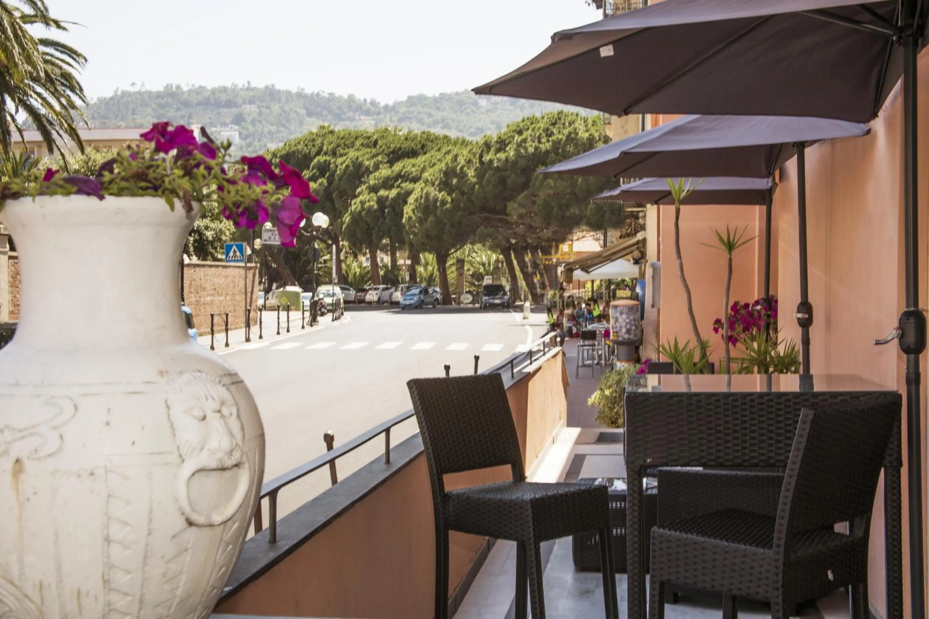 Patio in Hotel Mimosa