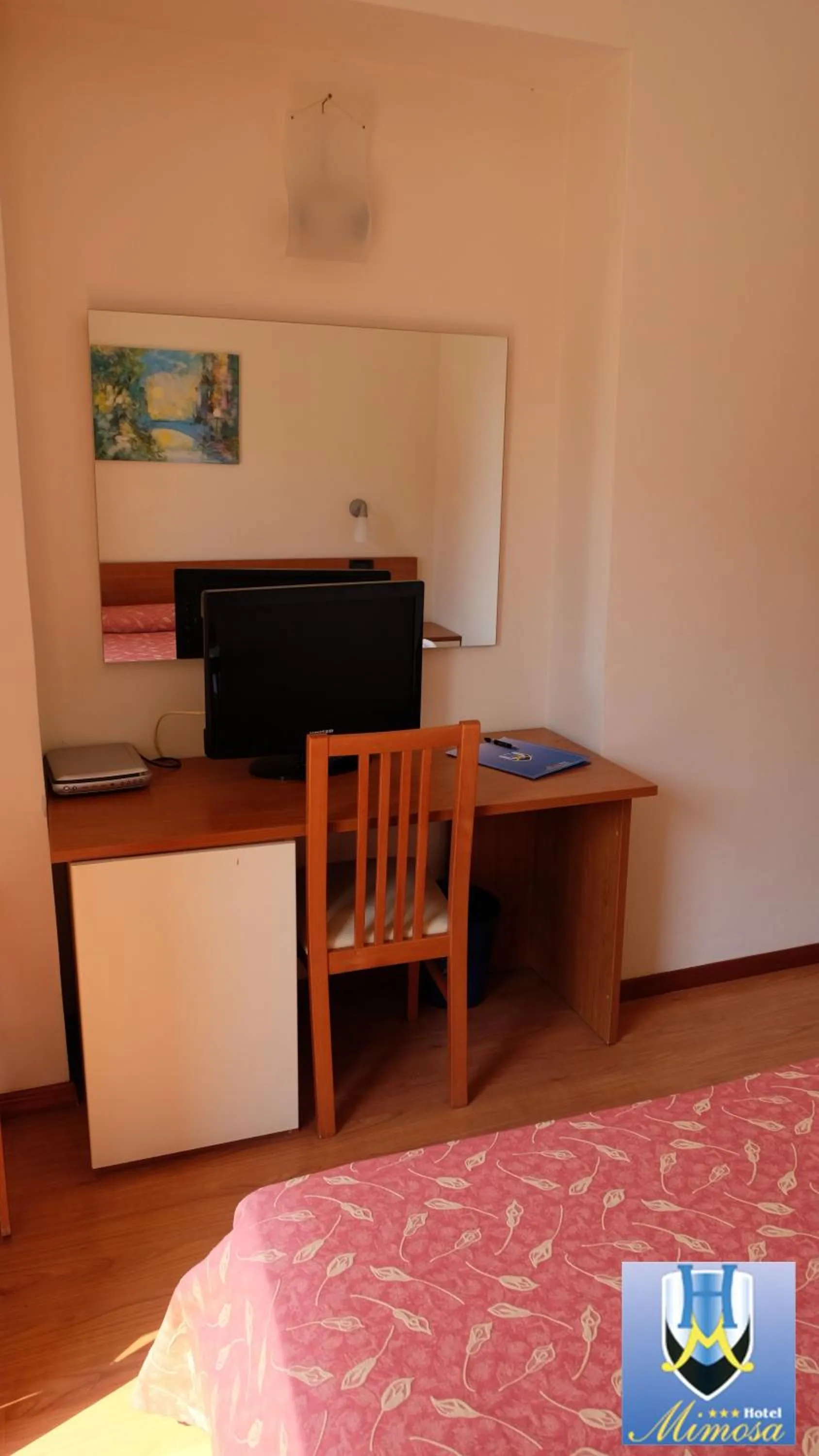 Photo of the whole room in Hotel Mimosa