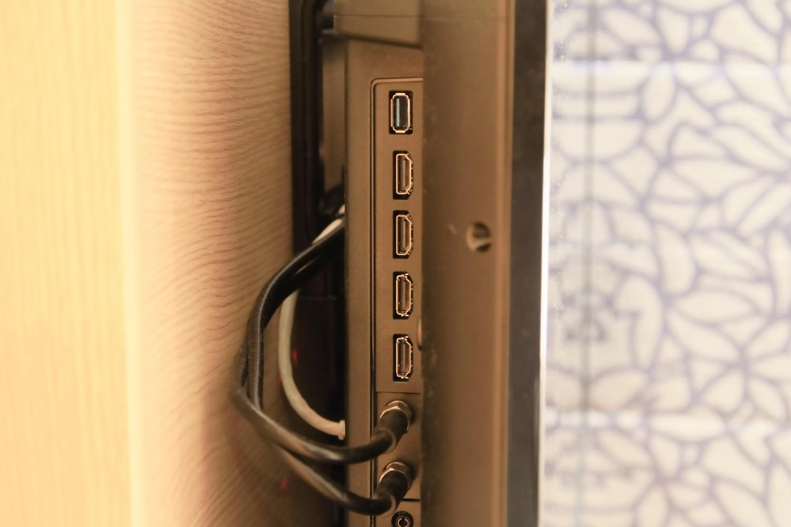 TV and multimedia in Hotel Nihonbashi Saibo