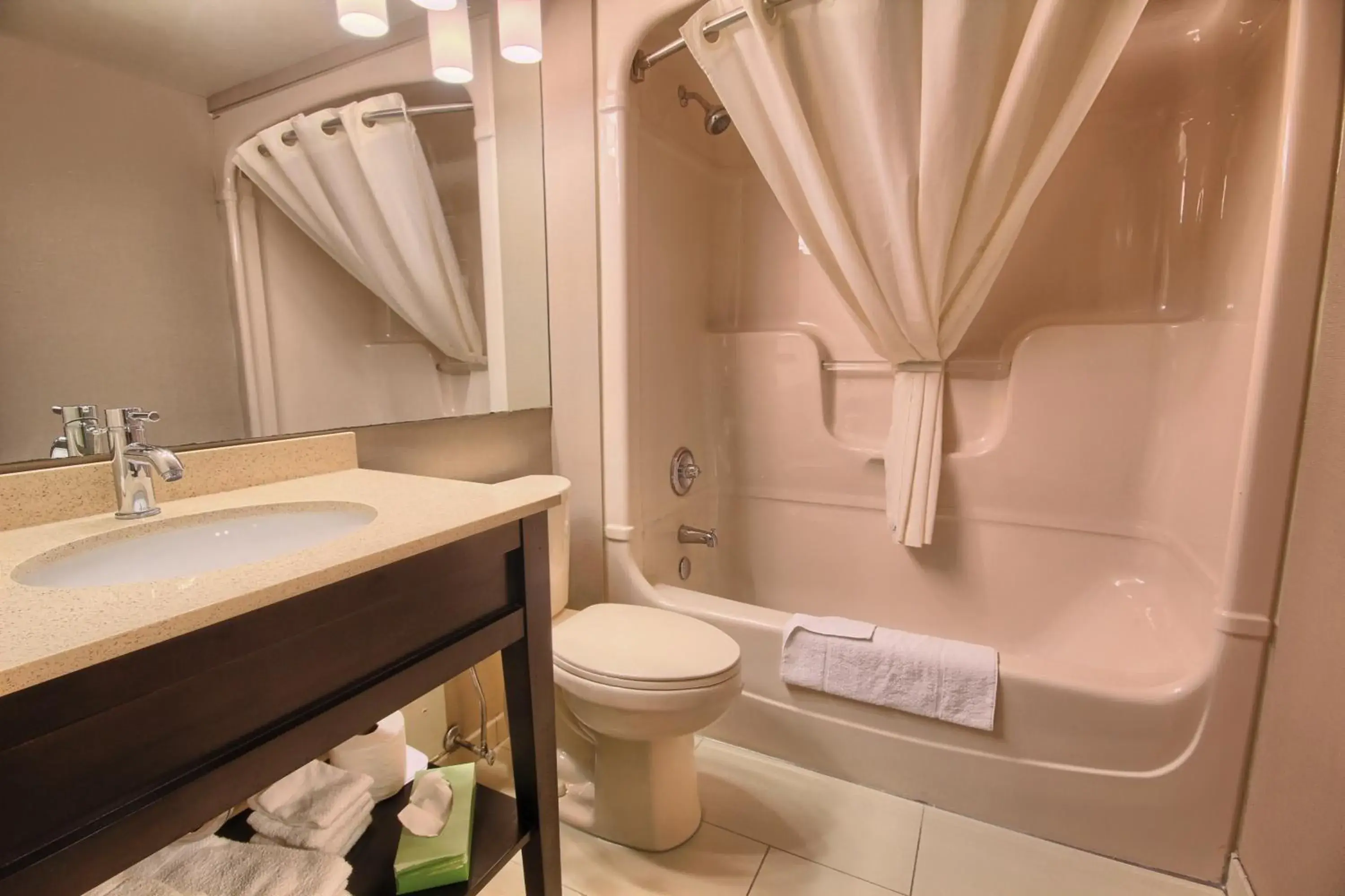 Bathroom in Comfort Inn Bathroom in Comfort Inn