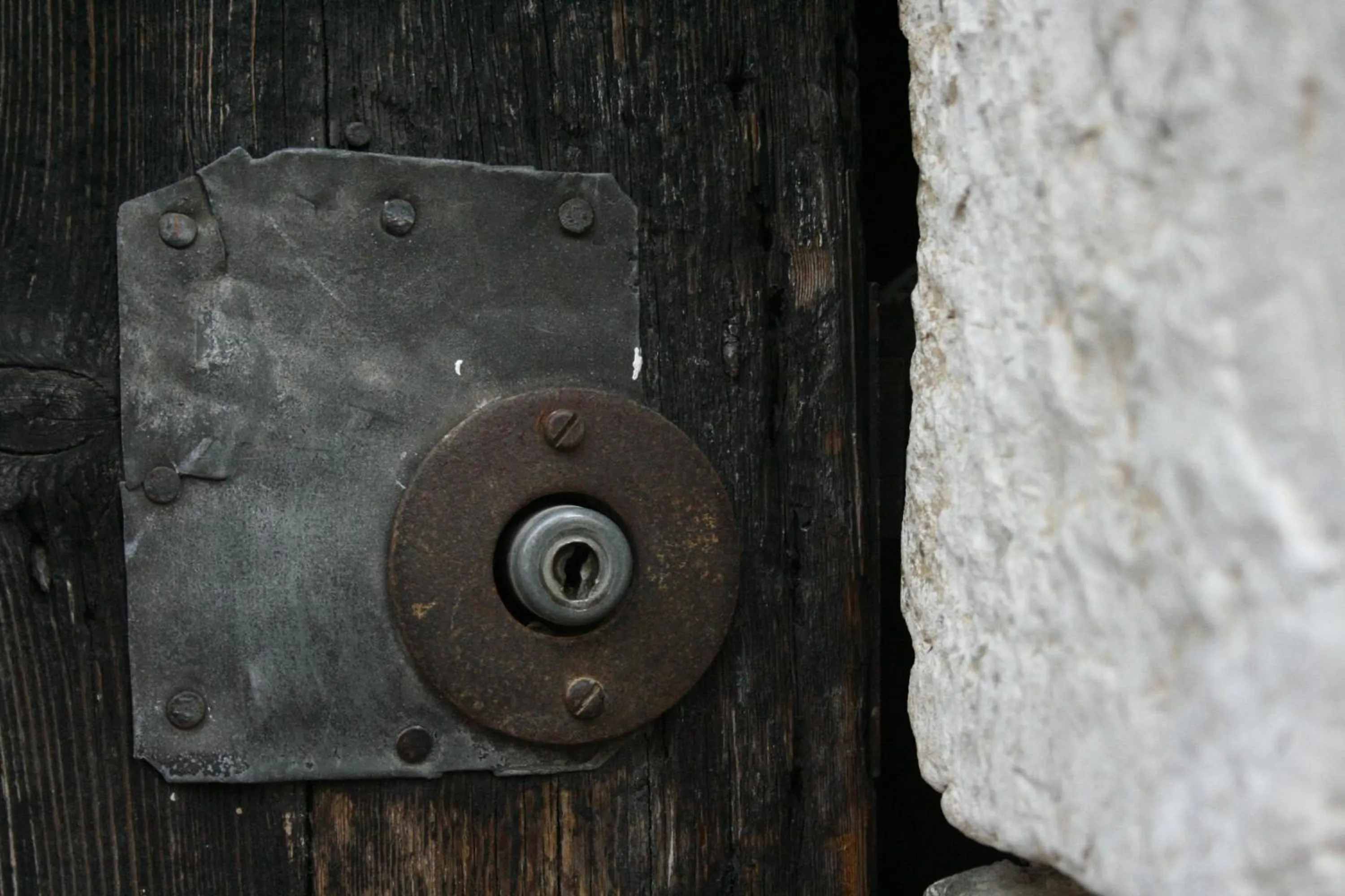 la maison aux bonsais