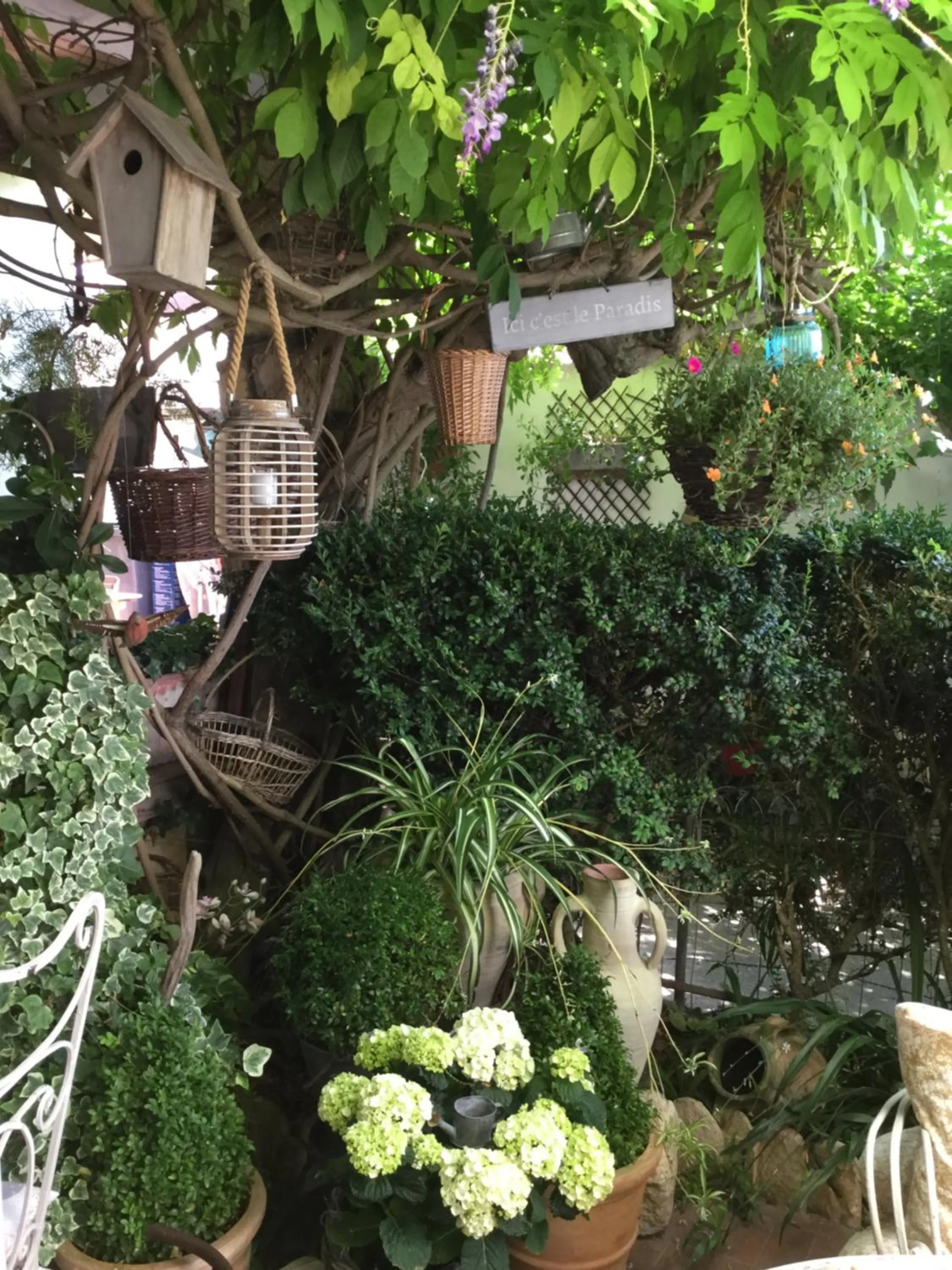 Hotel Le Méditérranée