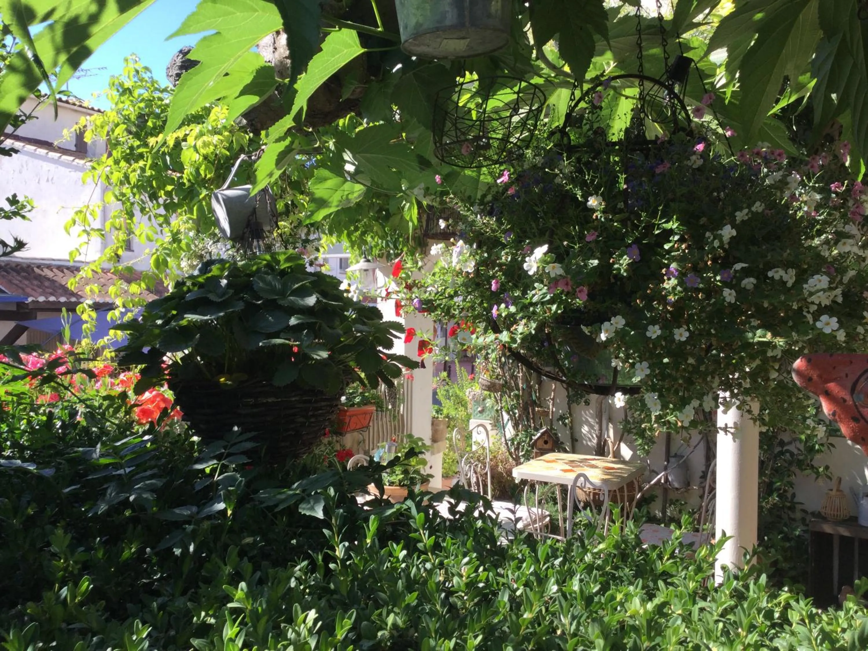 Hotel Le Méditérranée