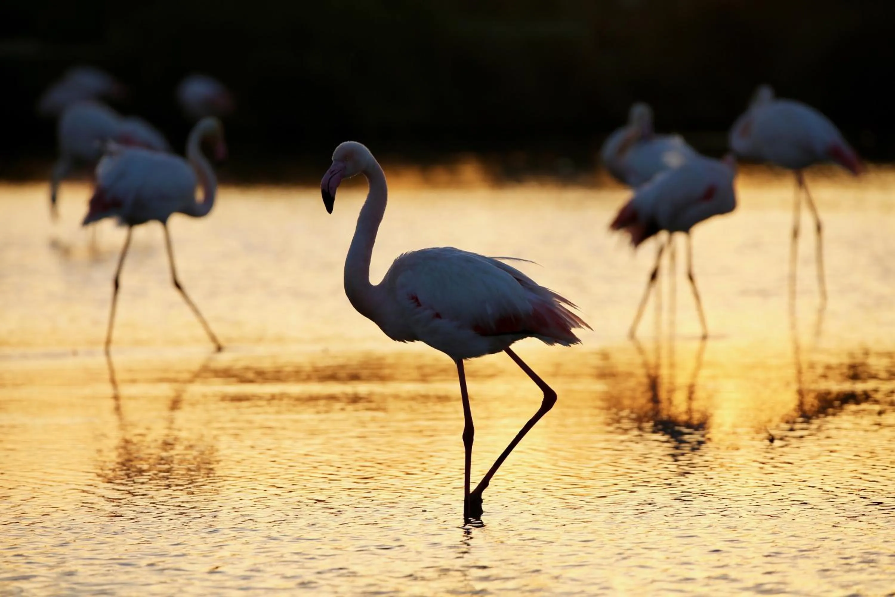 Hotel Le Méditérranée