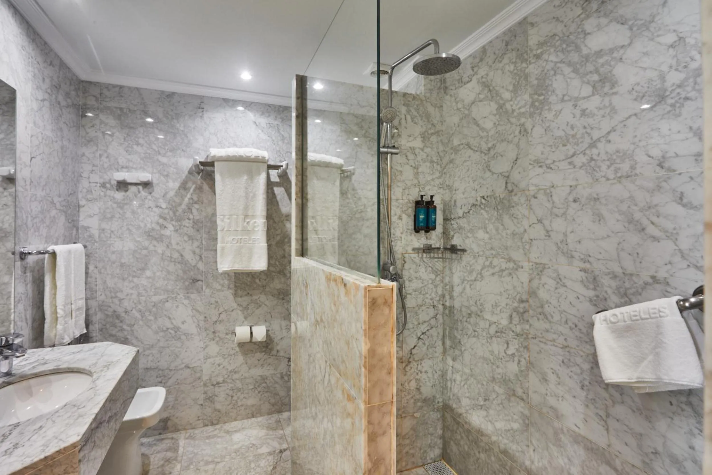 Shower in Silken Gran Hotel del Sella