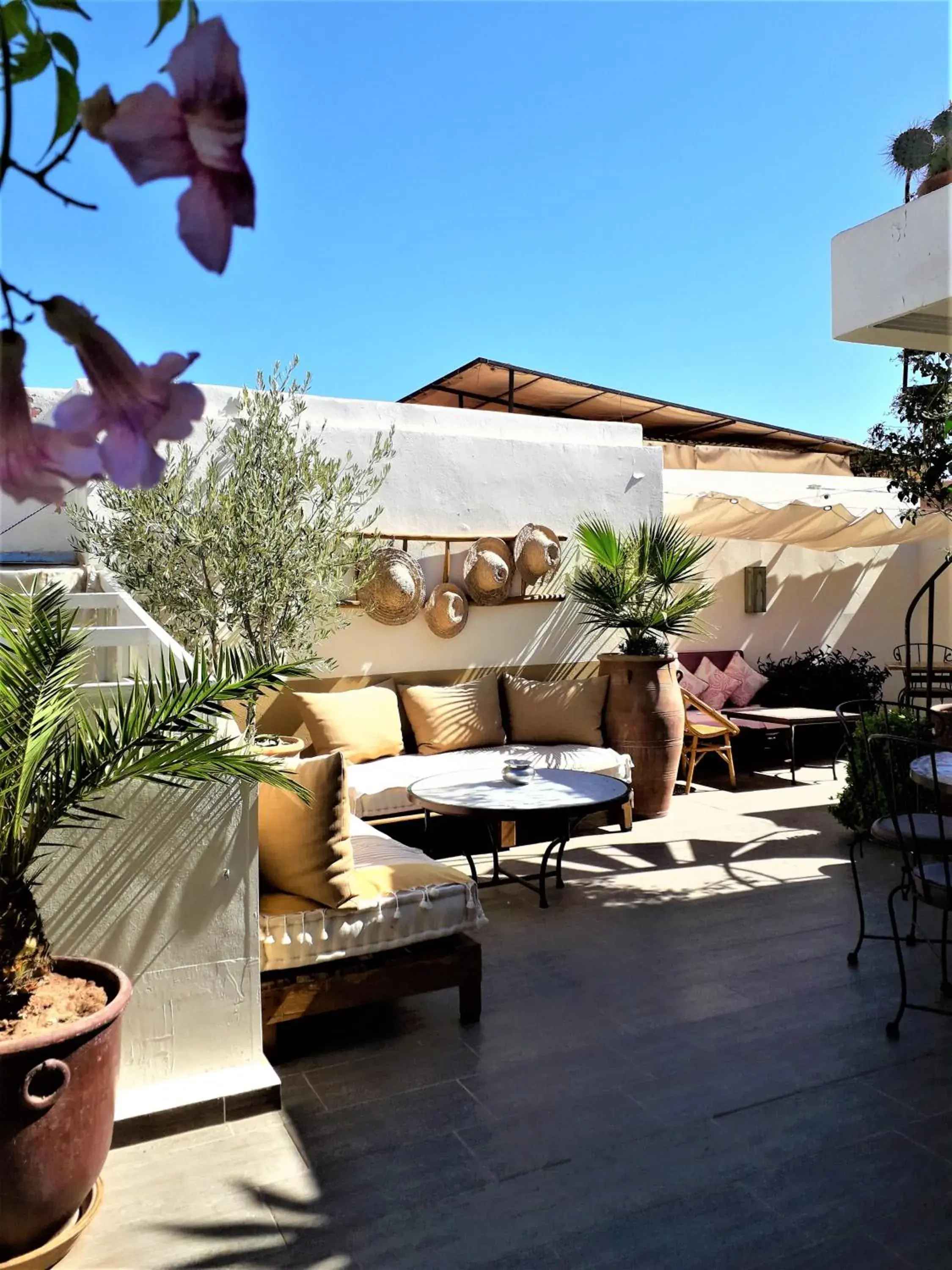 Riad Safina Riad Safina