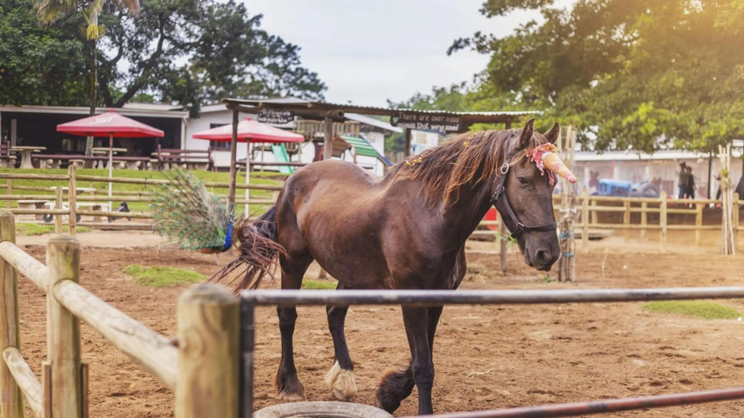 Nearby landmark in Holiday Inn Express Durban - Umhlanga by IHG